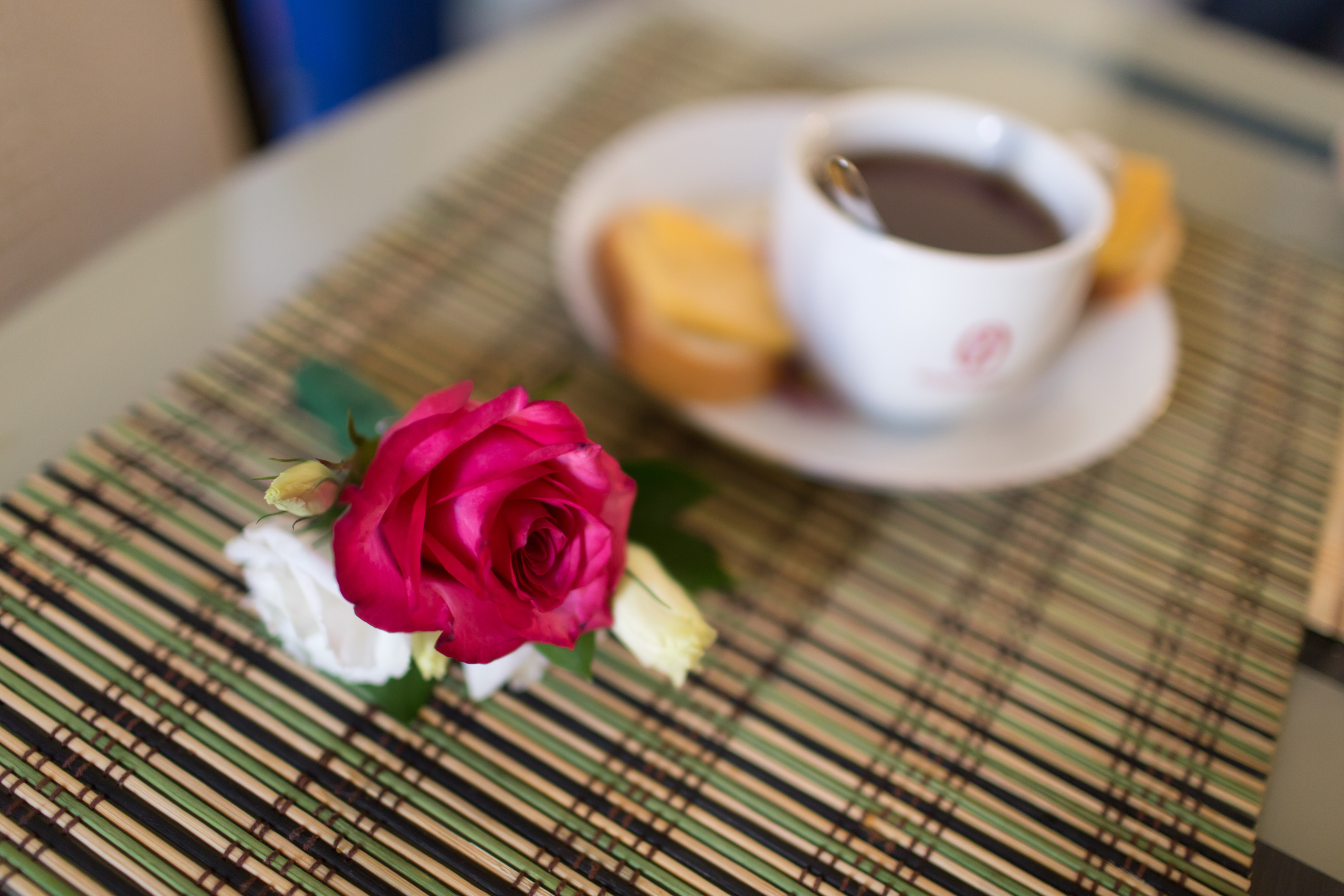 Любовь и Константин, отель Вега, Измайловский кремль. Свадебный и репортажный фотограф (Москва, Королев и другие)