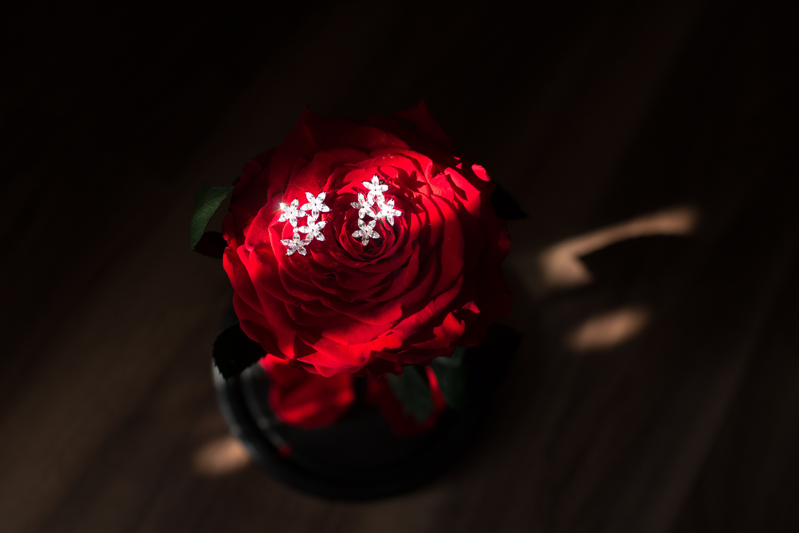 Анастасия и Вячеслав, ЗАГС ВДНХ, прогулка в усадьбе Ботанический сад. Свадебный и репортажный фотограф (Москва, Королев и другие)