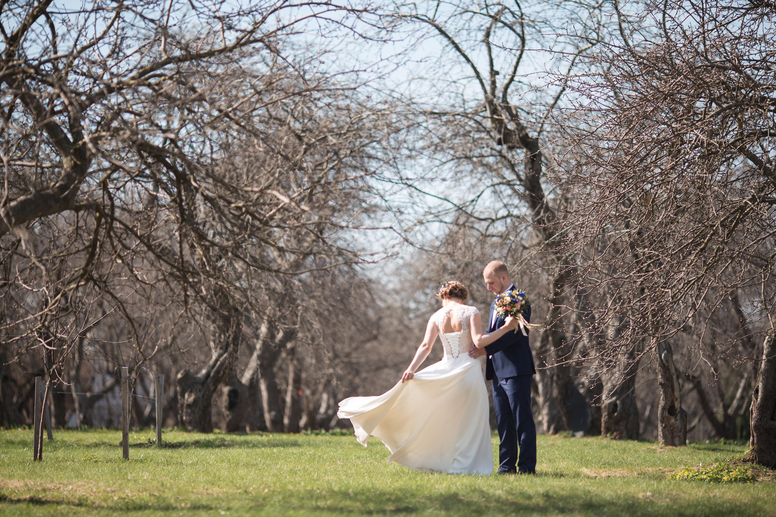 Свадьба Елена и Денис, Коломенское. Свадебный и репортажный фотограф (Москва, Королев и другие)