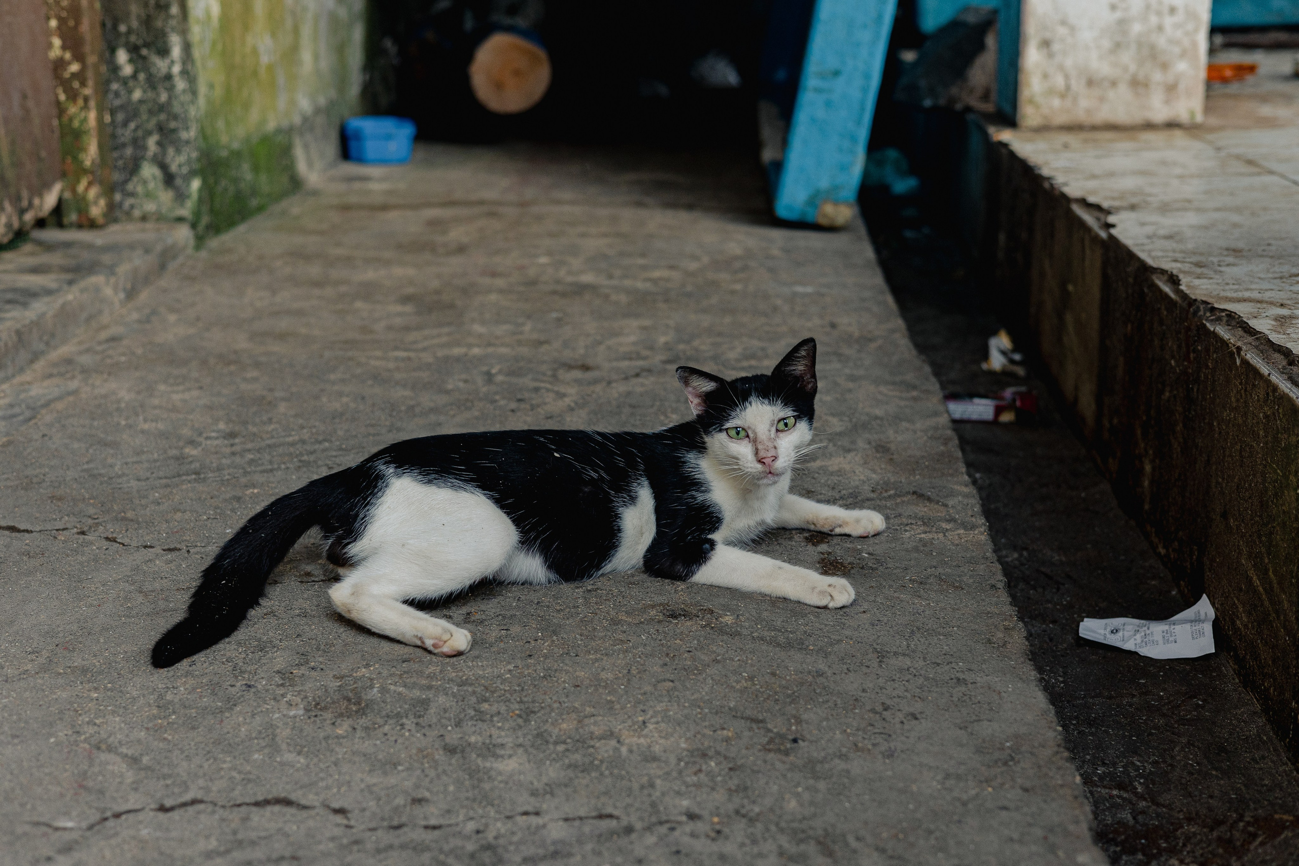Амбалангода. Фотограф Сонкина Татьяна