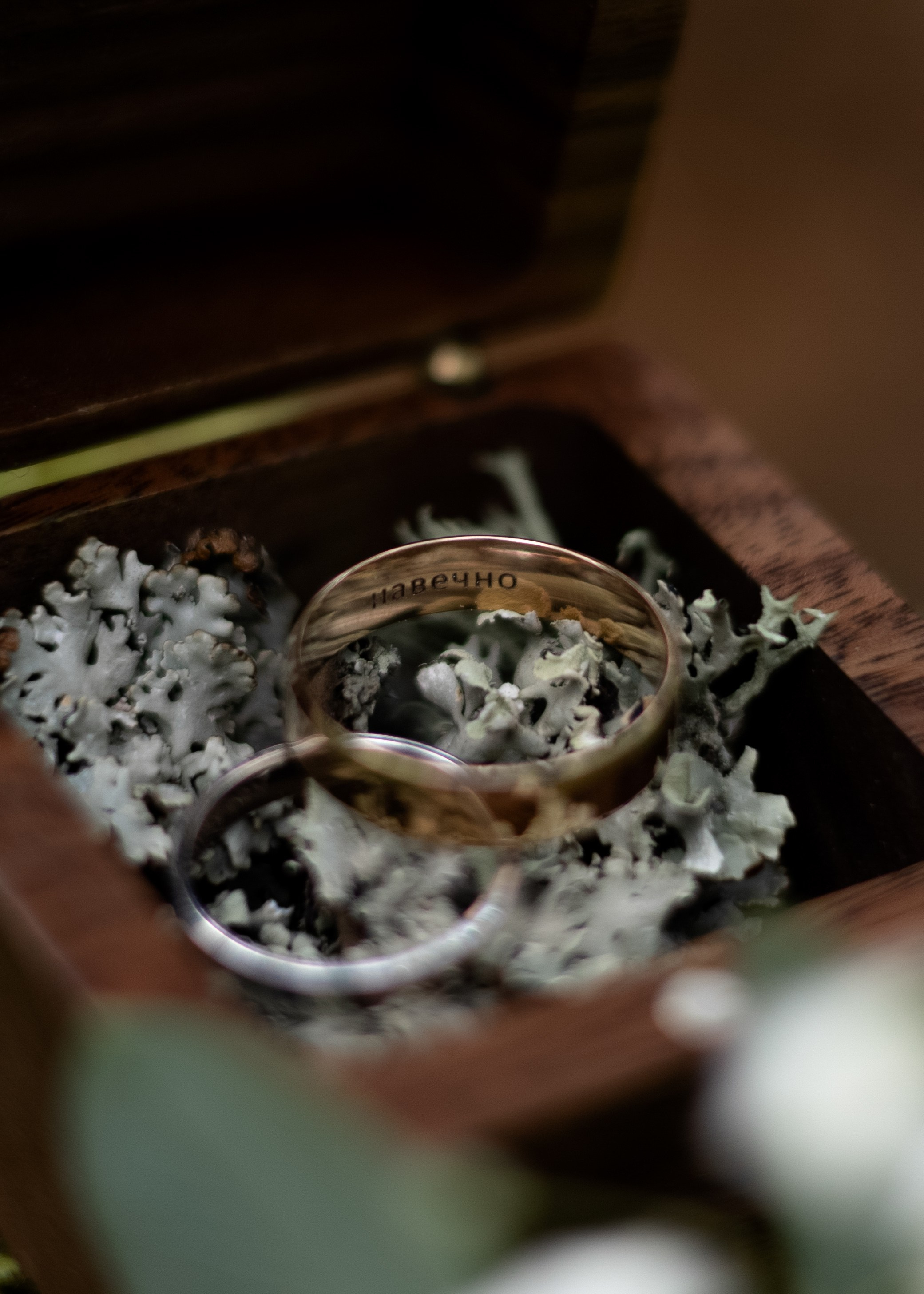 Денис & Дарья | в лесу. Фотограф в Калининграде Сокирко Светлана