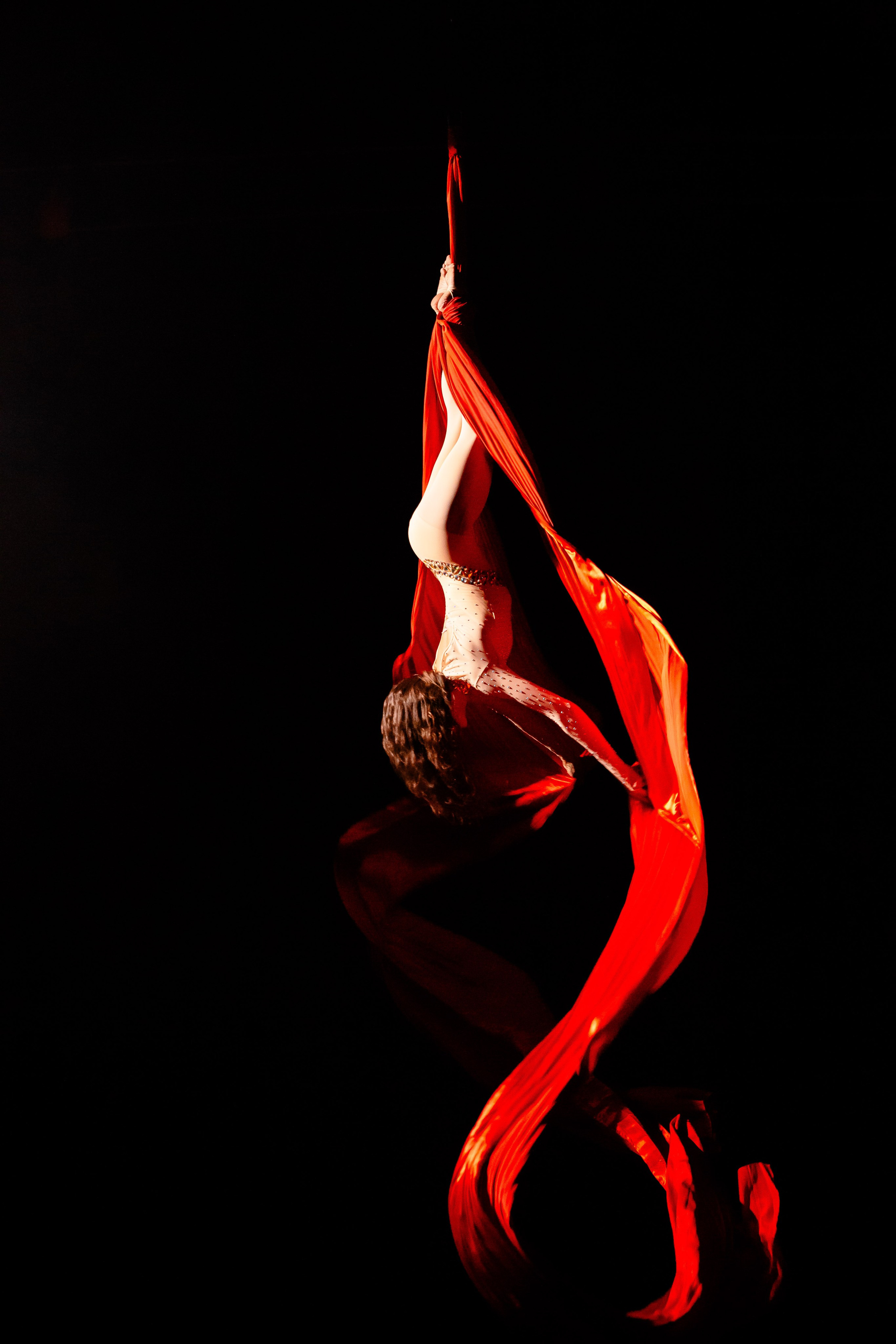 Цирковое шоу. Видеограф Добромыслов