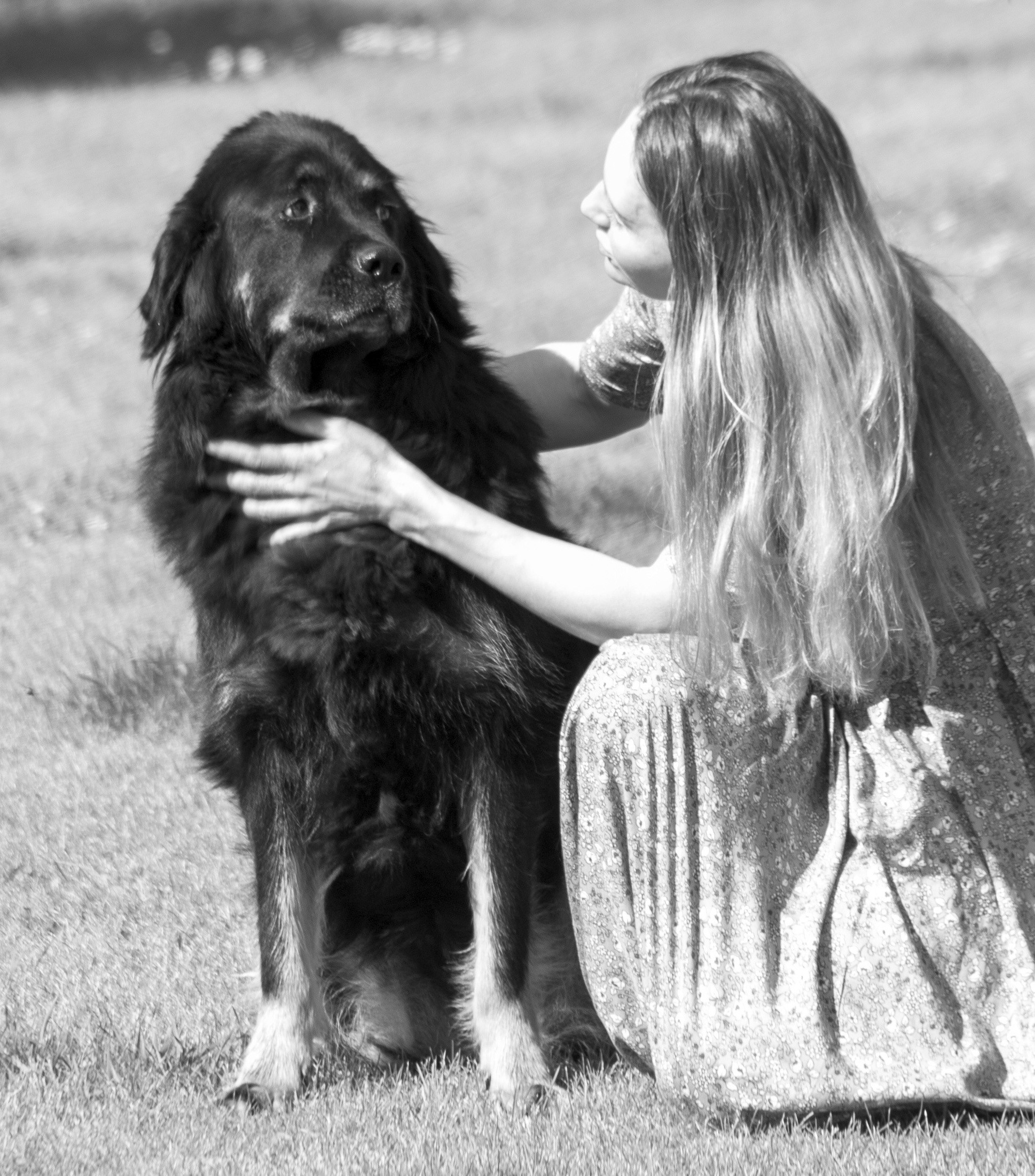 Собаки. Портретный и репортажный фотограф в Тюмени | Соколов Дмитрий