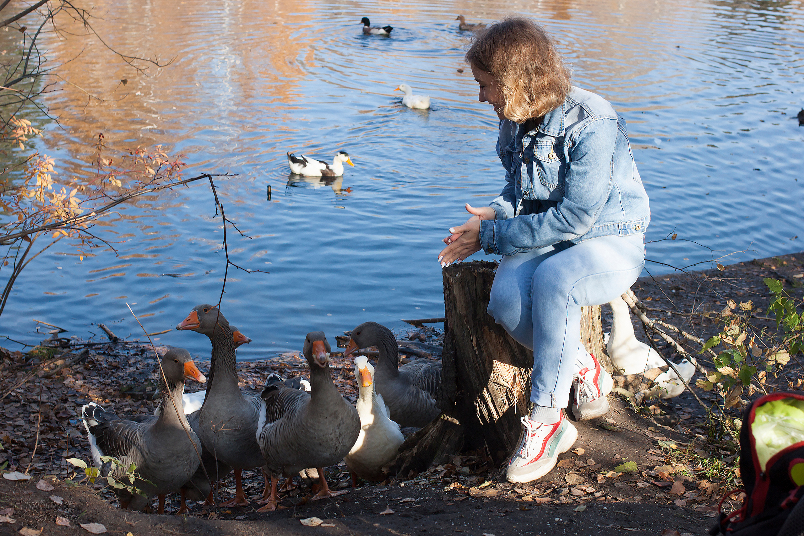 В лесу. Портретный и репортажный фотограф в Тюмени | Соколов Дмитрий