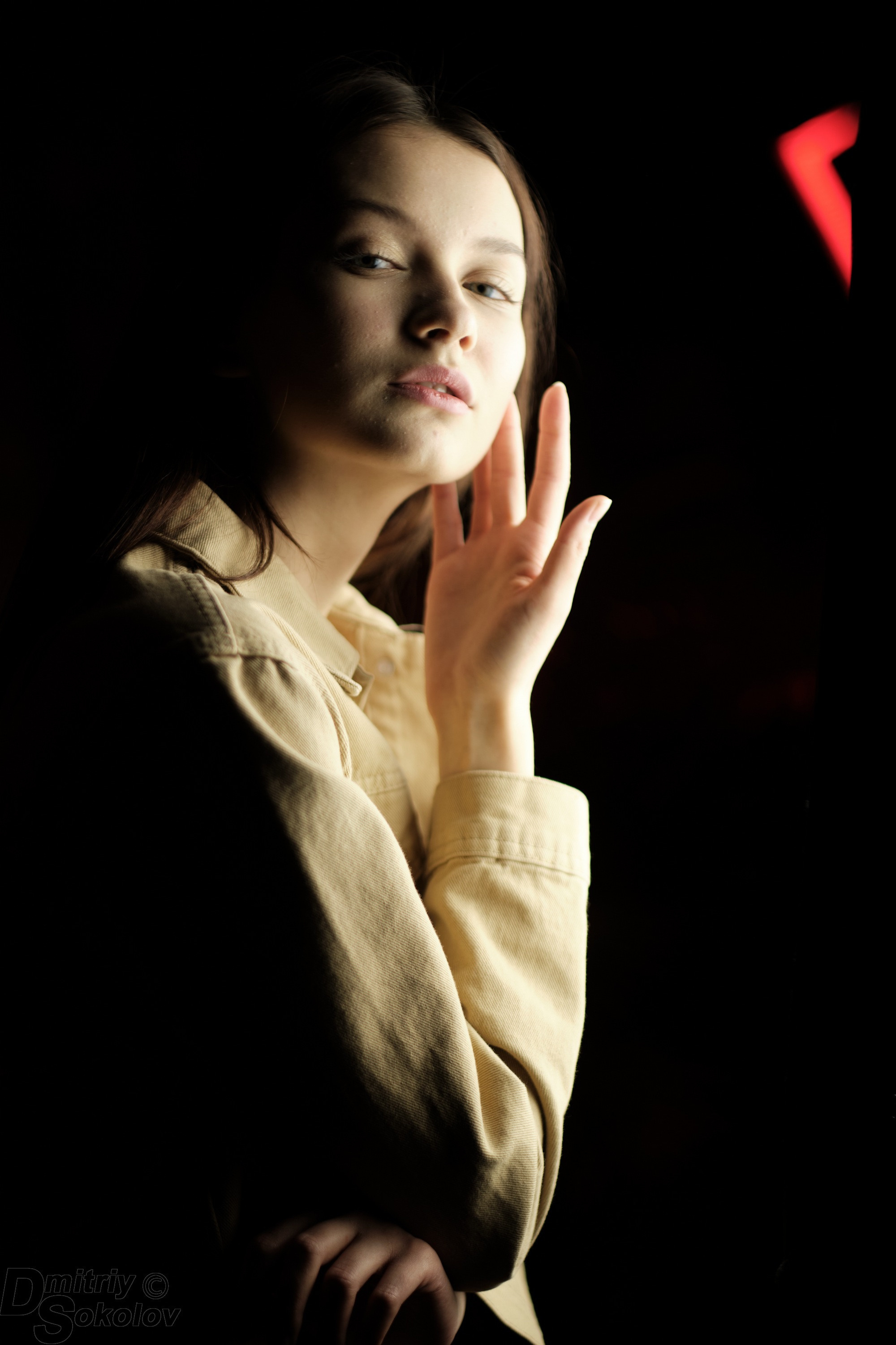 Студийные фотографии | Фотограф Дмитрий Соколов. Портретный и репортажный фотограф в Тюмени | Соколов Дмитрий