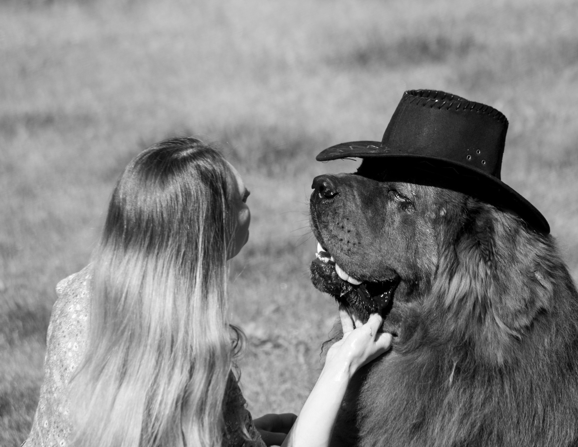 Собаки. Портретный и репортажный фотограф в Тюмени | Соколов Дмитрий