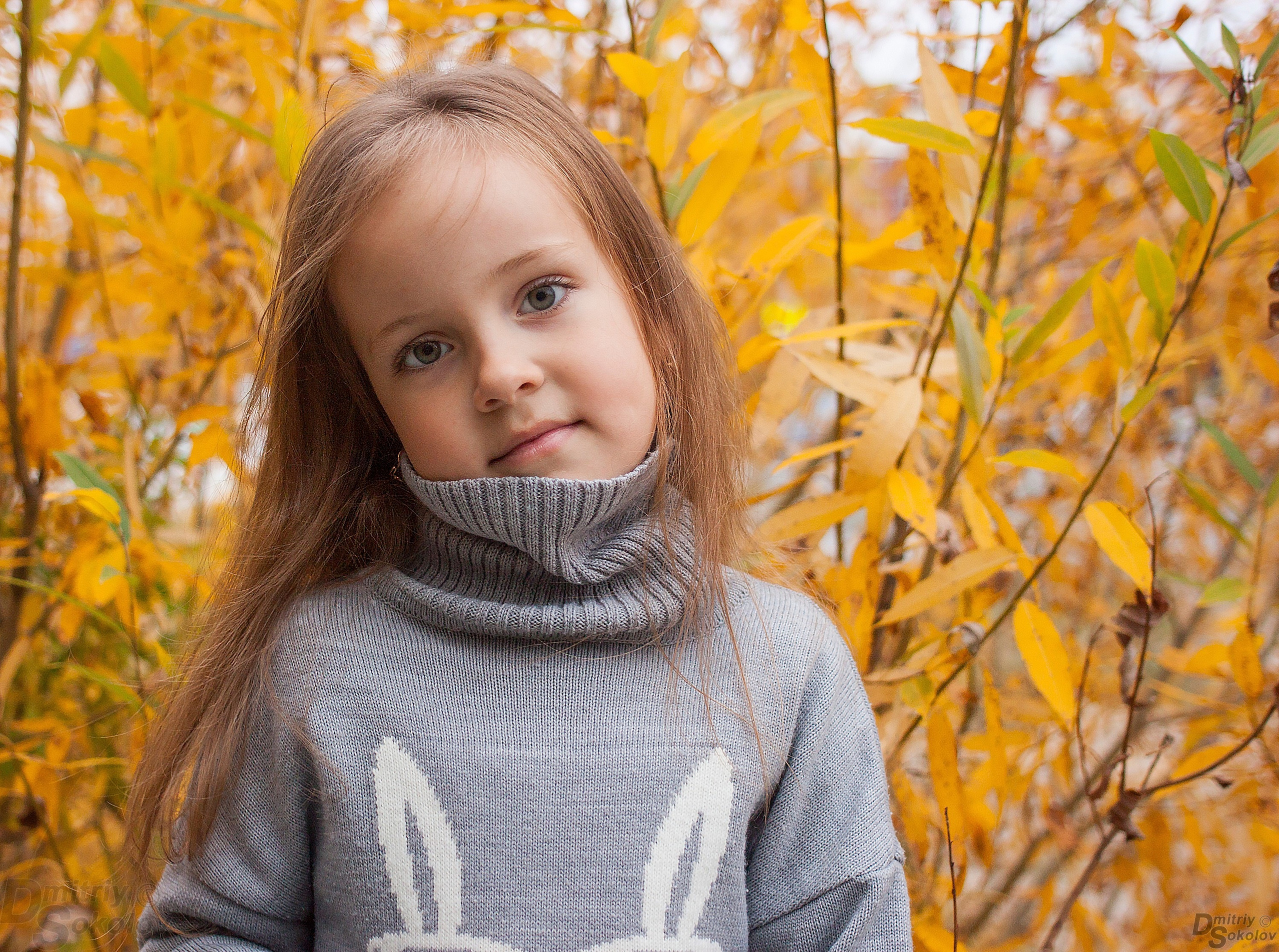 Семейная съемка. Портретный и репортажный фотограф в Тюмени | Соколов Дмитрий