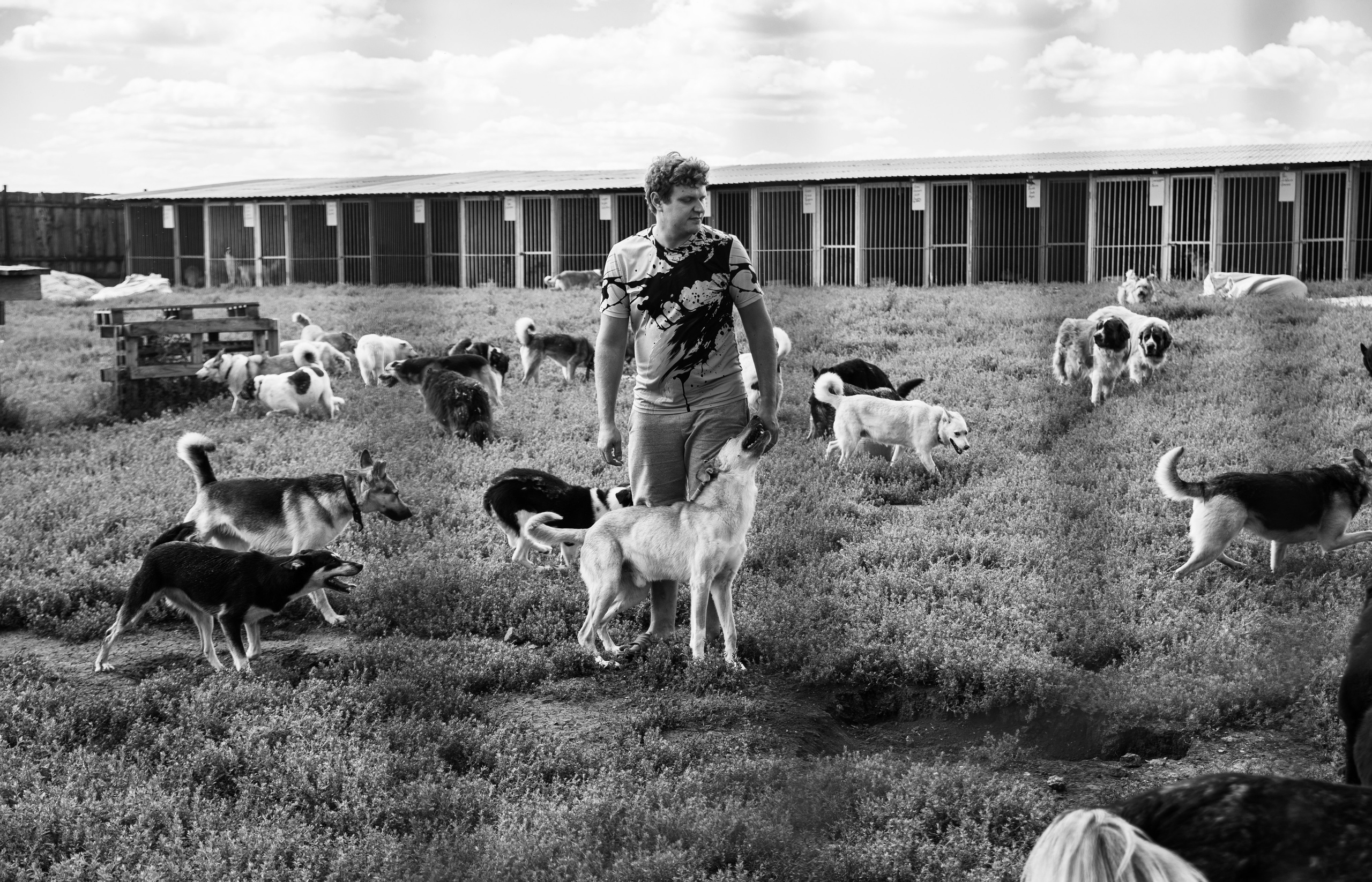 Приют — Наш дом. Репортажный и свадебный фотограф в Челябинске Елисеев Павел