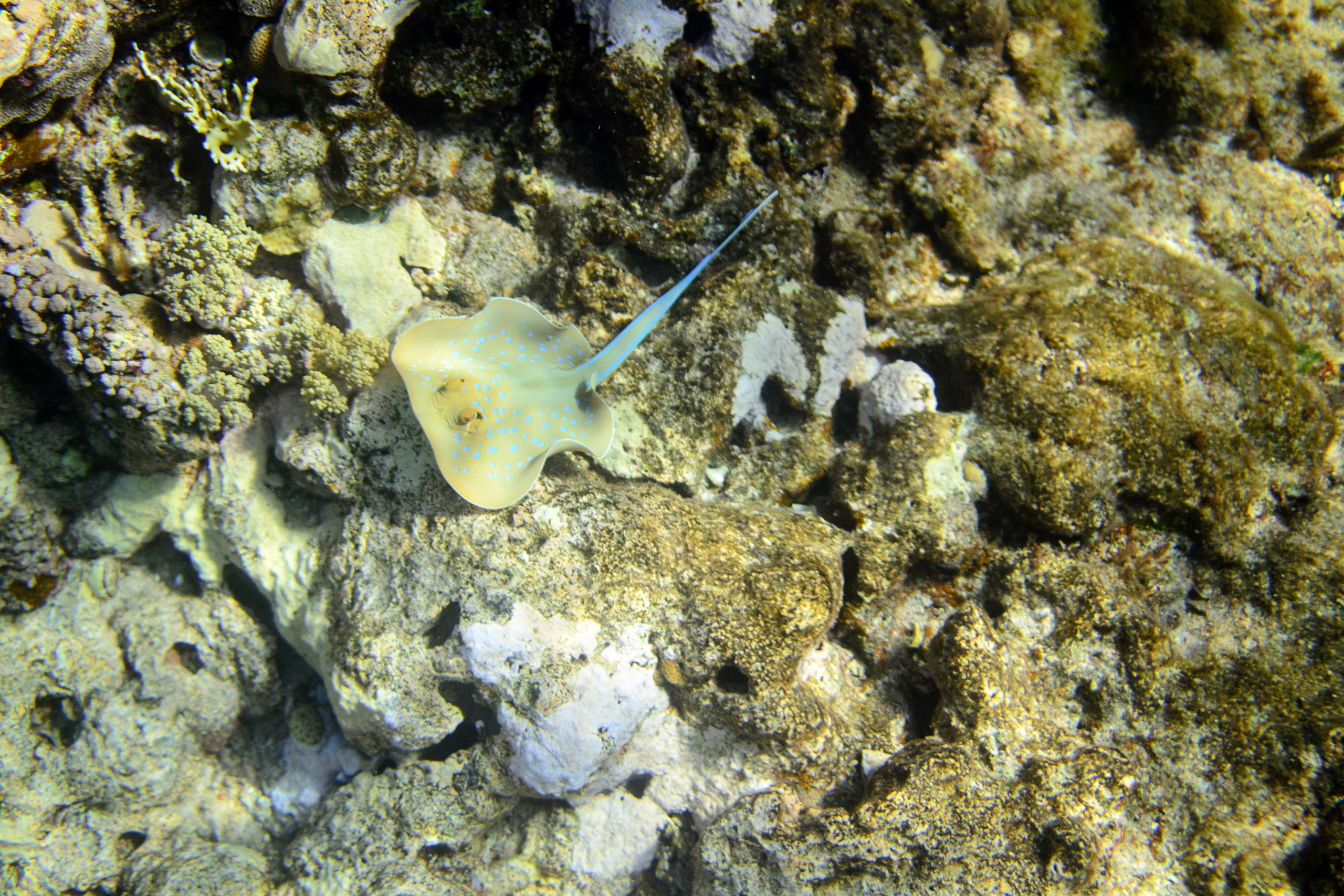 Море. Фотограф в Санкт-Петербурге Ибрагимова Алина