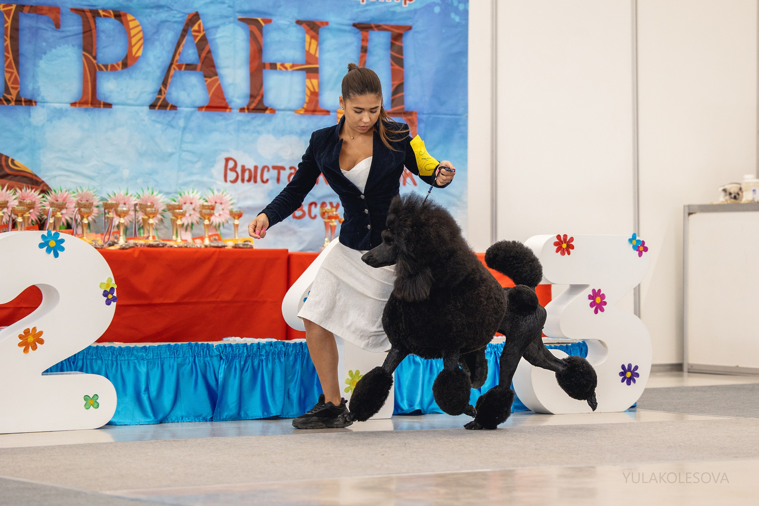 5.05.2024. YULA KOLESOVA | Фотограф — Анималист | Художник | Тюмень