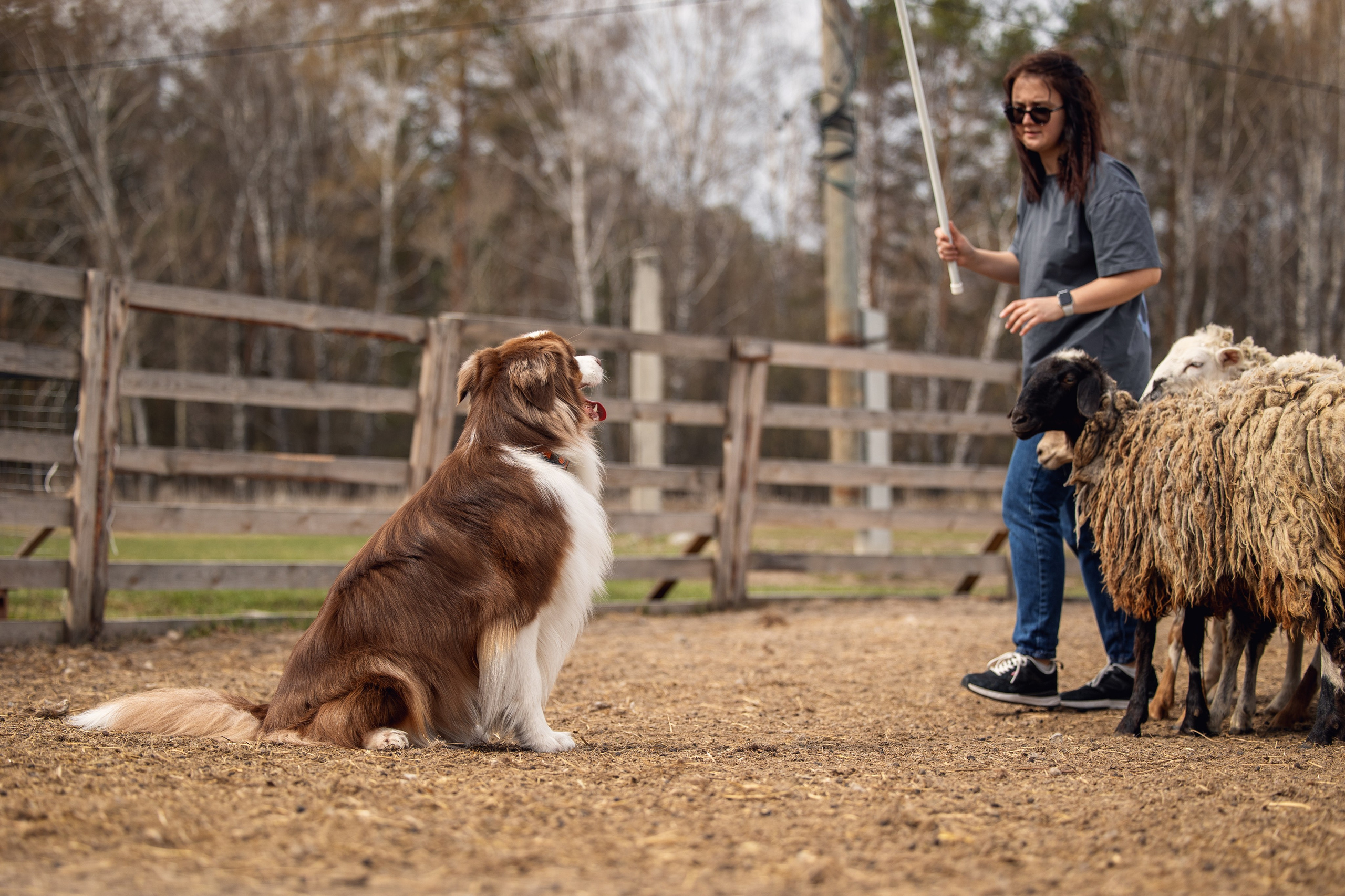 Анна и Вуди. YULA KOLESOVA | Фотограф — Анималист | Художник | Тюмень