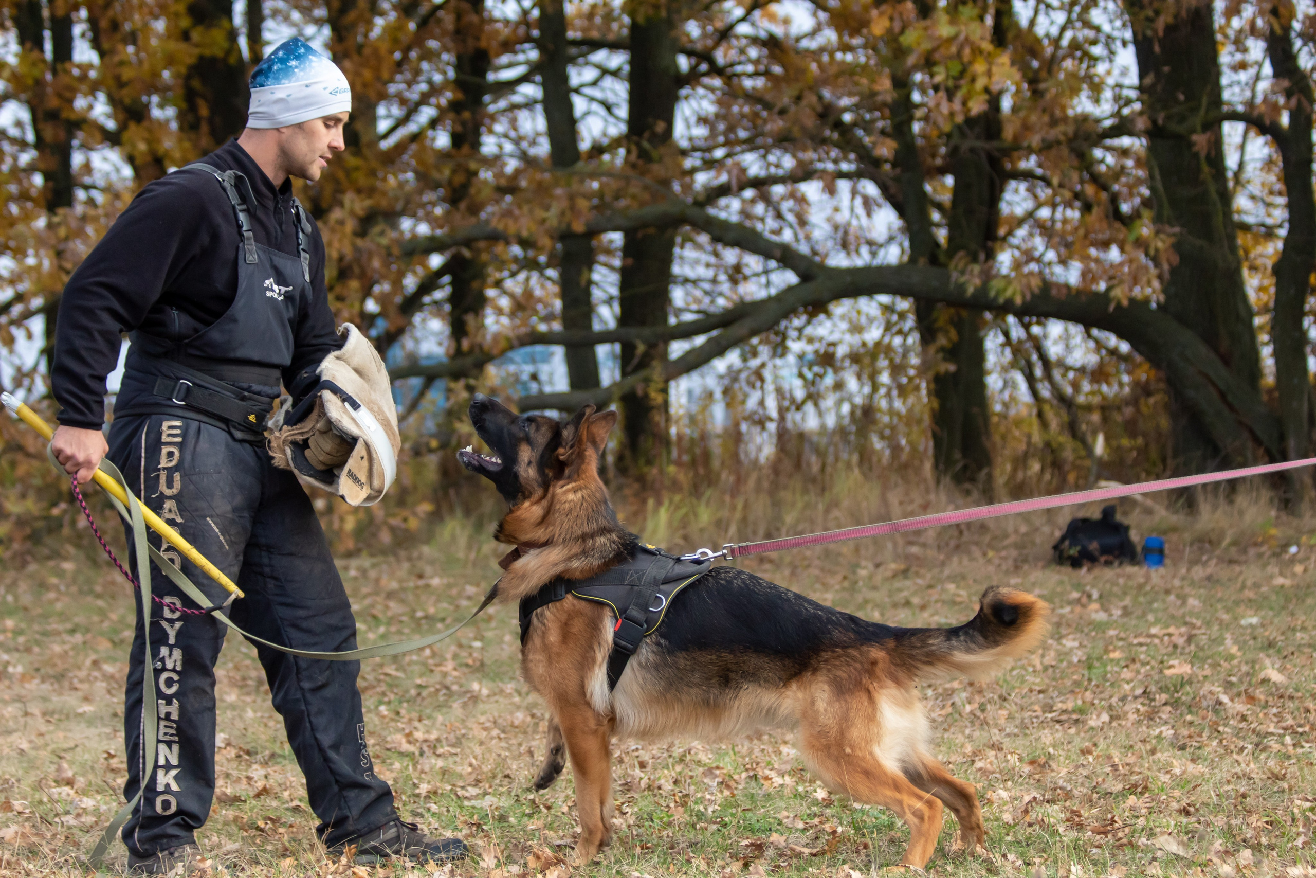 Тренинг защитного раздела. Фотограф анималист — Тула, Москва