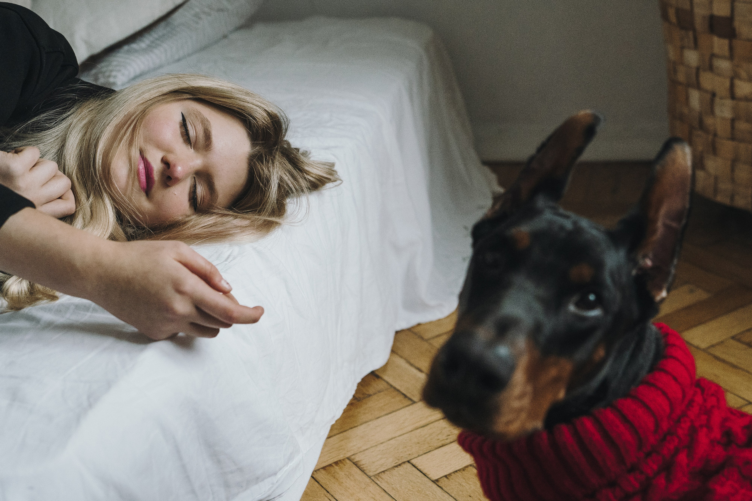Саша и Асти. Фотограф анималист в Москве и Санкт-Петербурге Свиридова Анна
