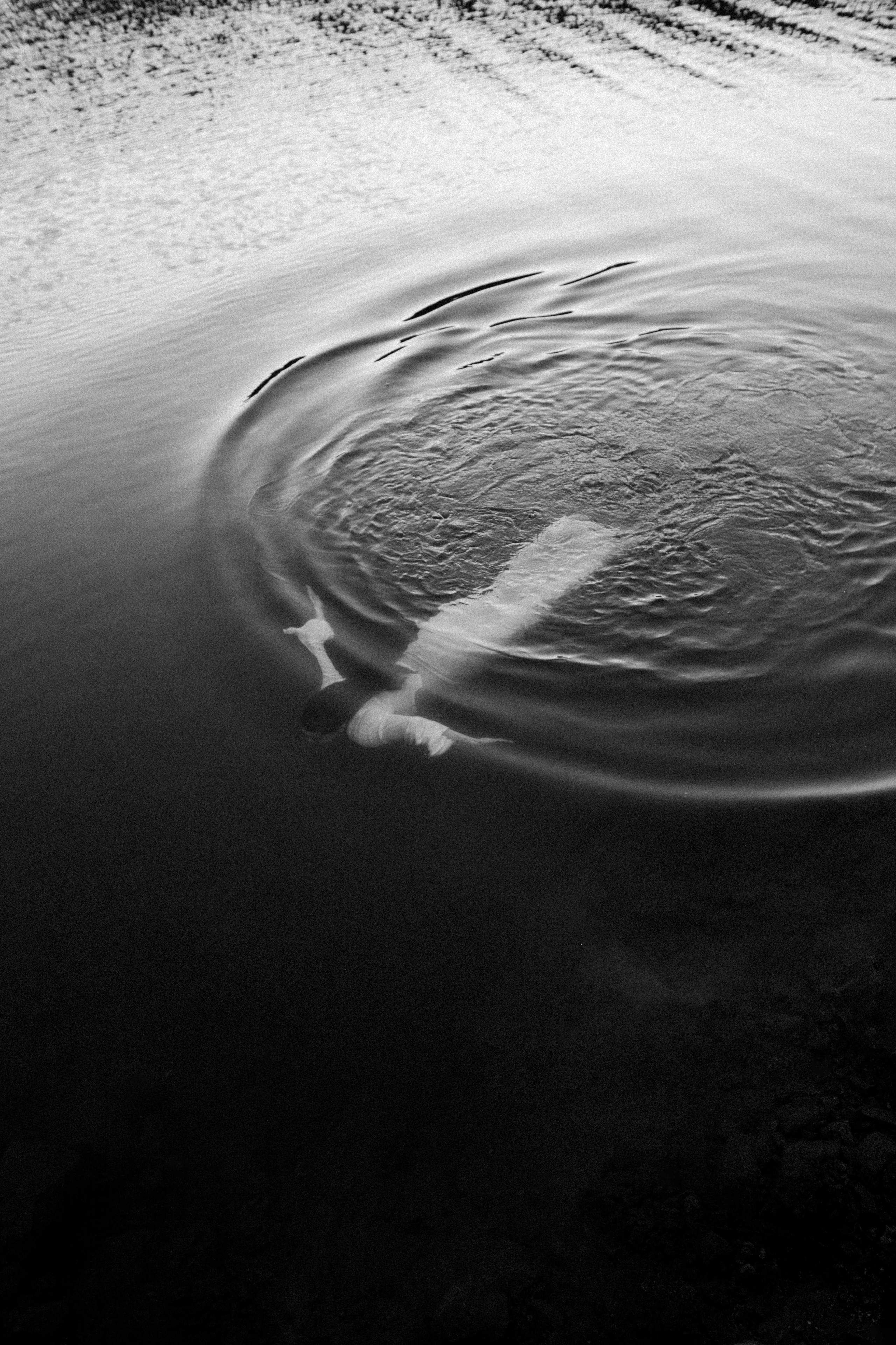 Фотограф в Санкт-Петербурге Анастасия Белик