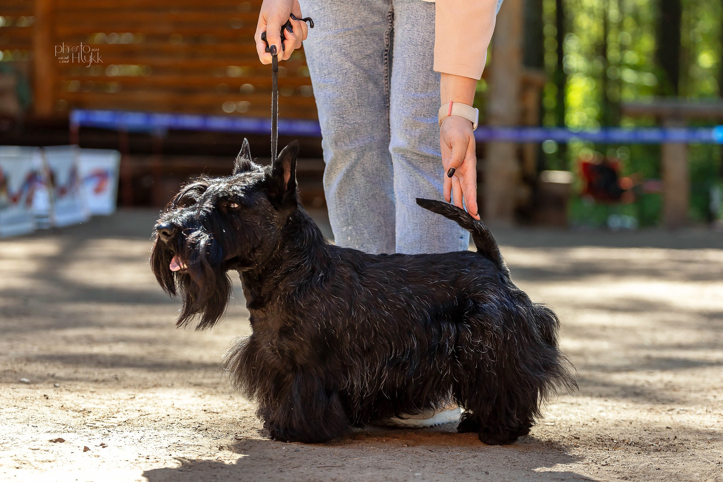 2 июня 2024, Выставка РКФ, г. Пермь. Htykk_photo