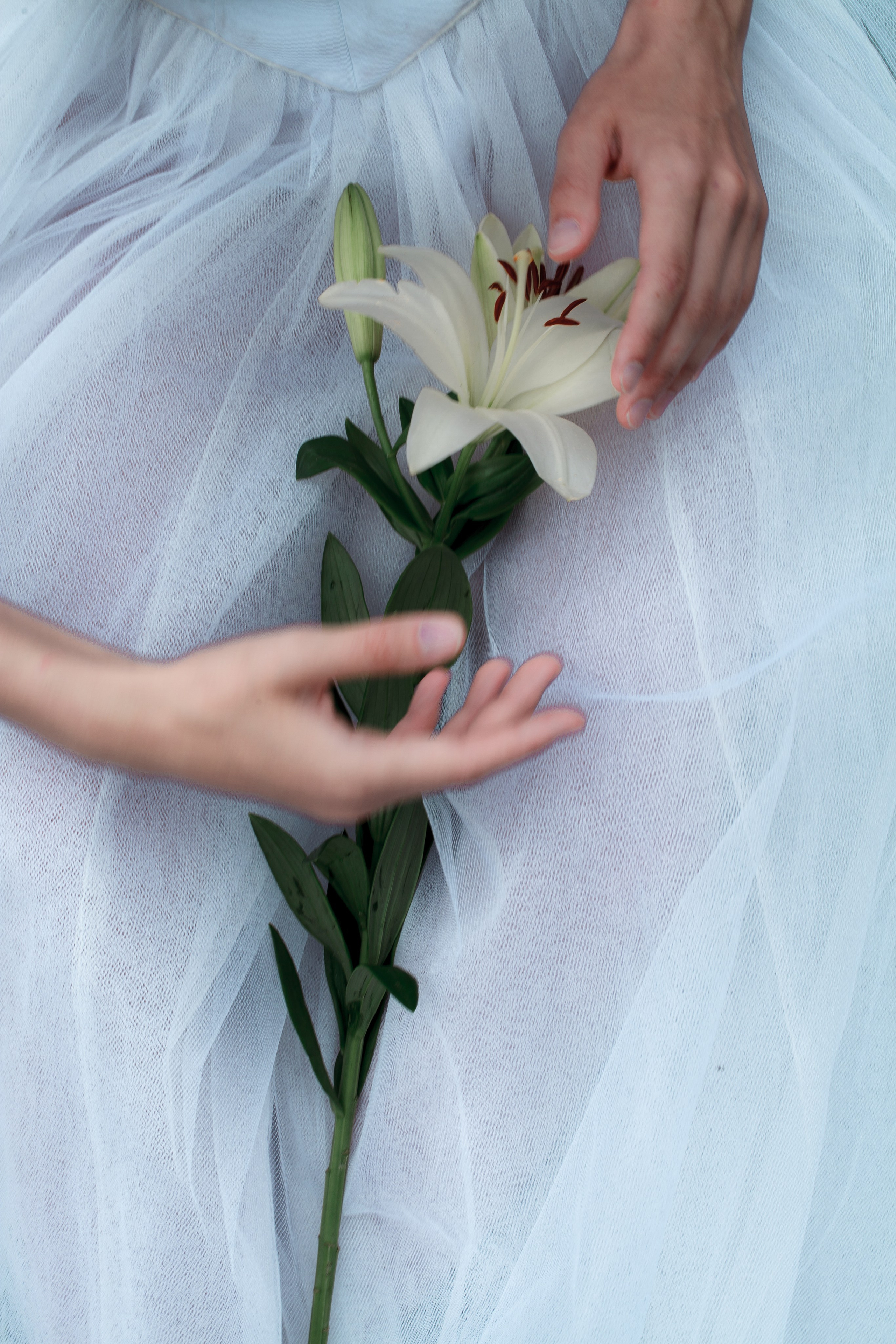 Жизель. Психолог с фотоаппаратом Зимина Оксана