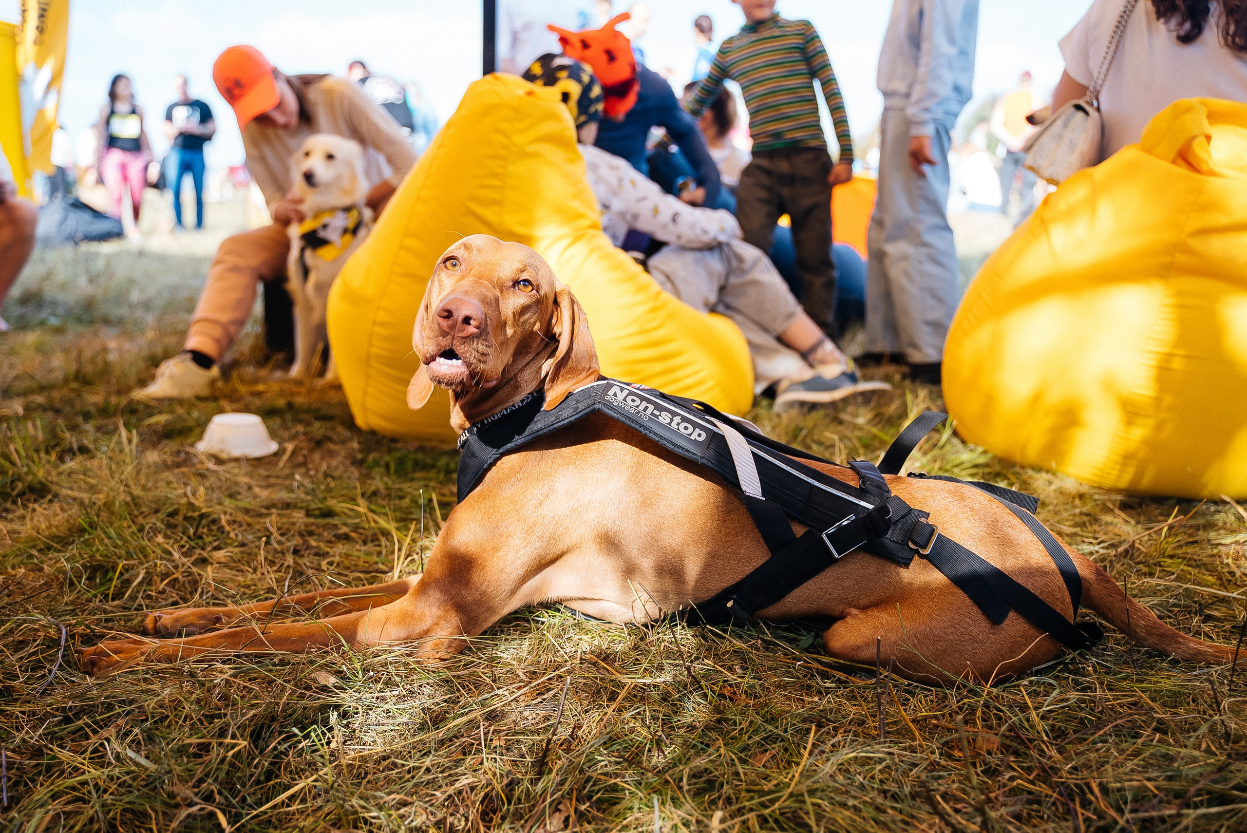 Билайн. Павел Краснов — Свадебный и репортажный фотограф в Москве