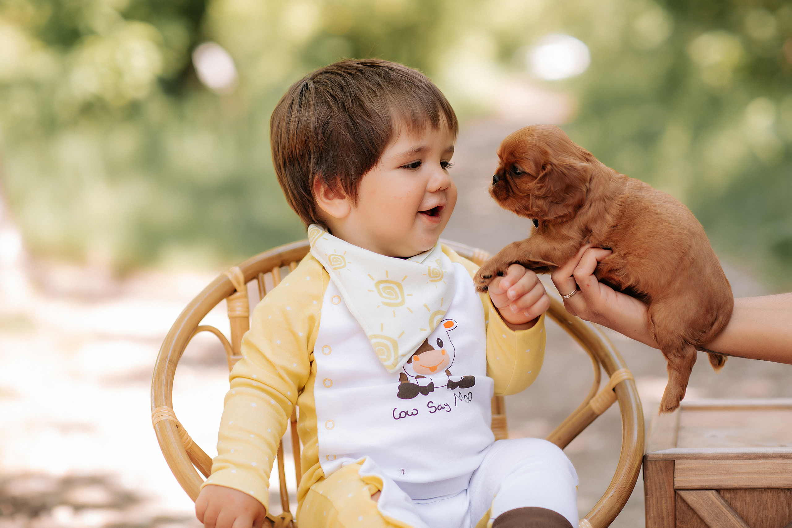 Отзывы. Свадебный, семейный фотограф в Дзержинске, Нижнем Новгороде Наталья Хр