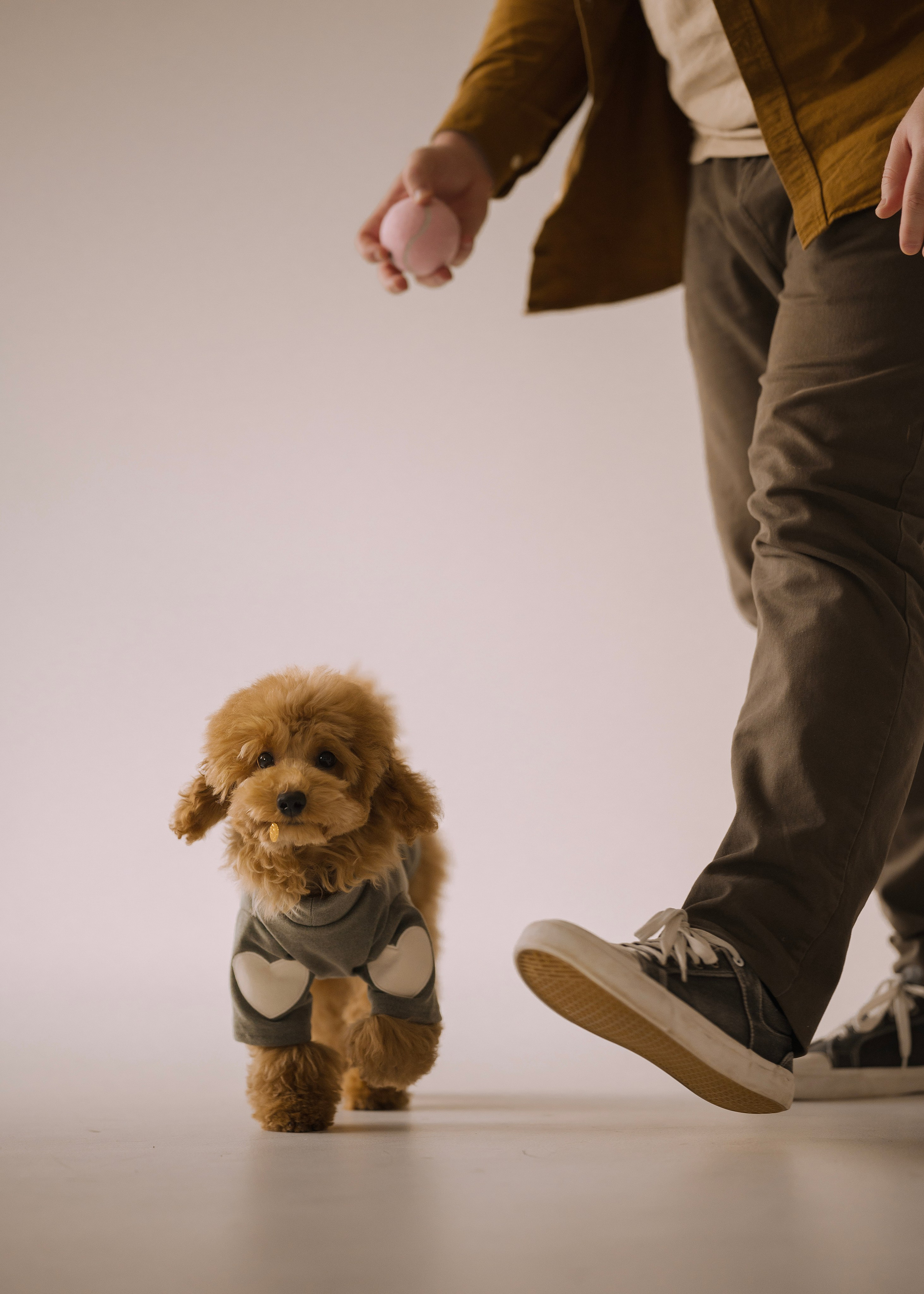 Утилита. Фотограф- анималист Александра Матвеева