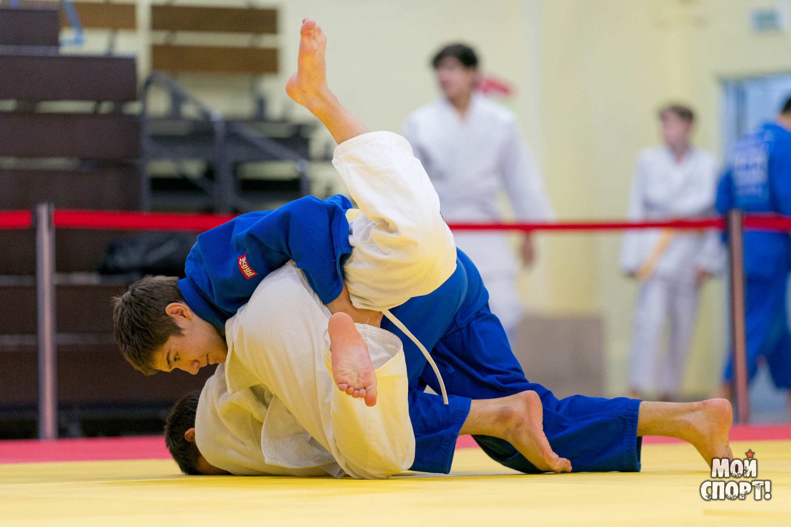 Открытый республиканский турнир по дзюдо на призы ГБПОУ РС (Я) «РУ (К)ОР им Р. М. Дмитриева». Студия «Мой Спорт!» — все о спорте в Якутии