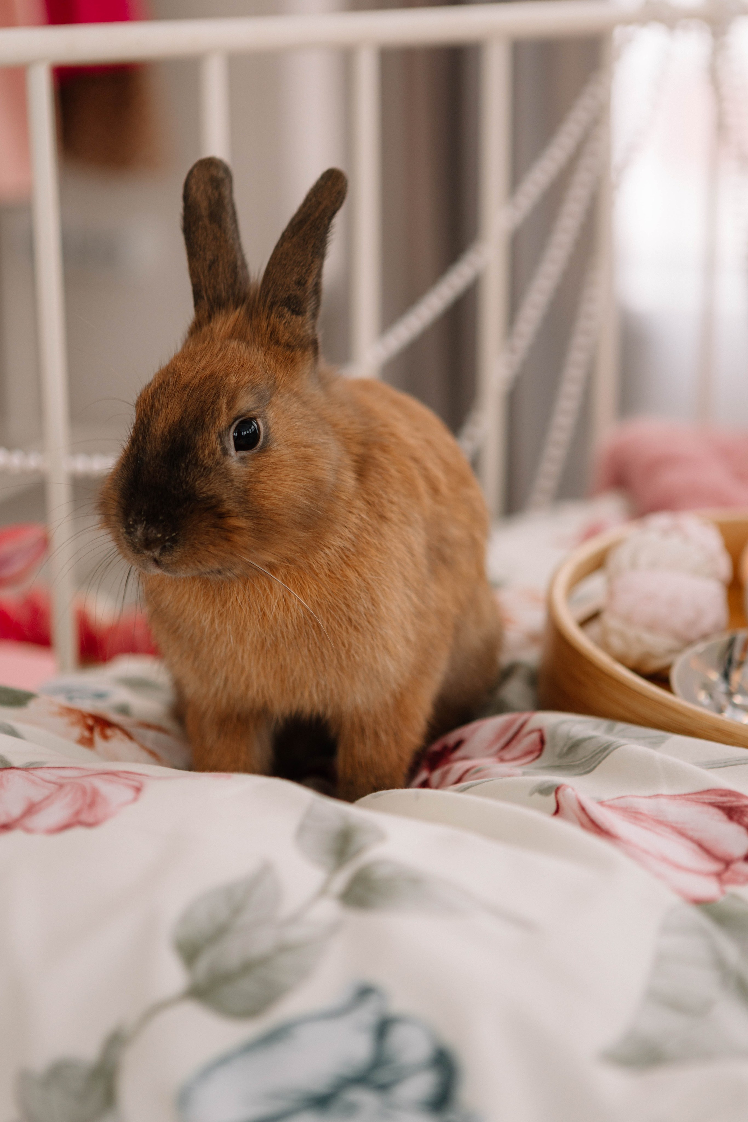 Лина. Фотограф Александра Кузнецова