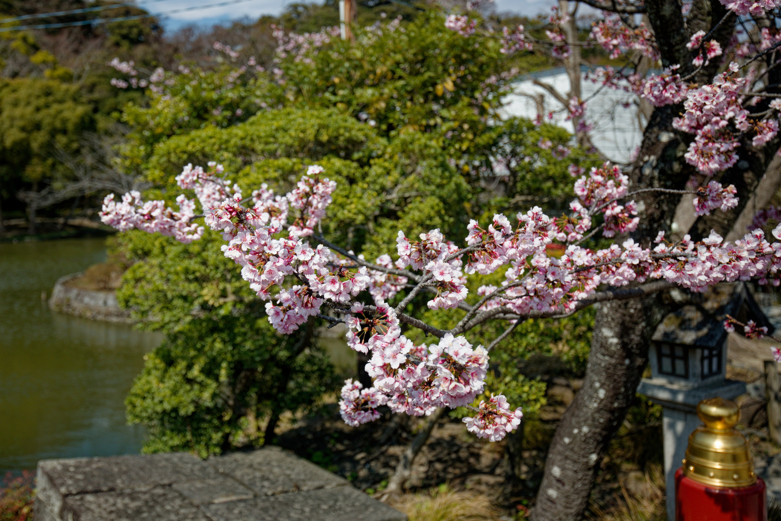 Япония. Владислав Ежокин — travel-фотограф