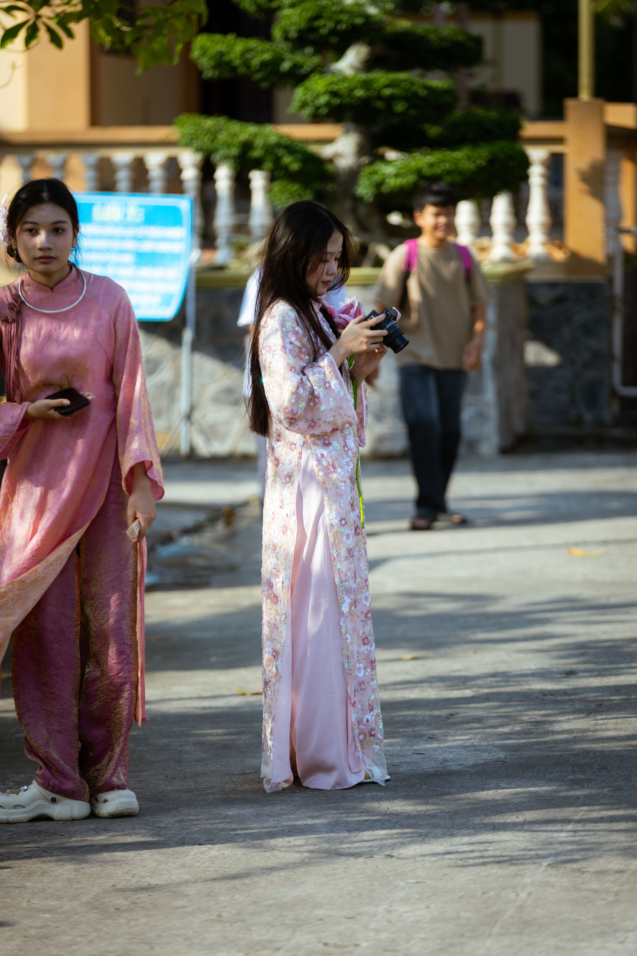 Вьетнам (зима 2025-2026). Фотограф Виноградов Константин