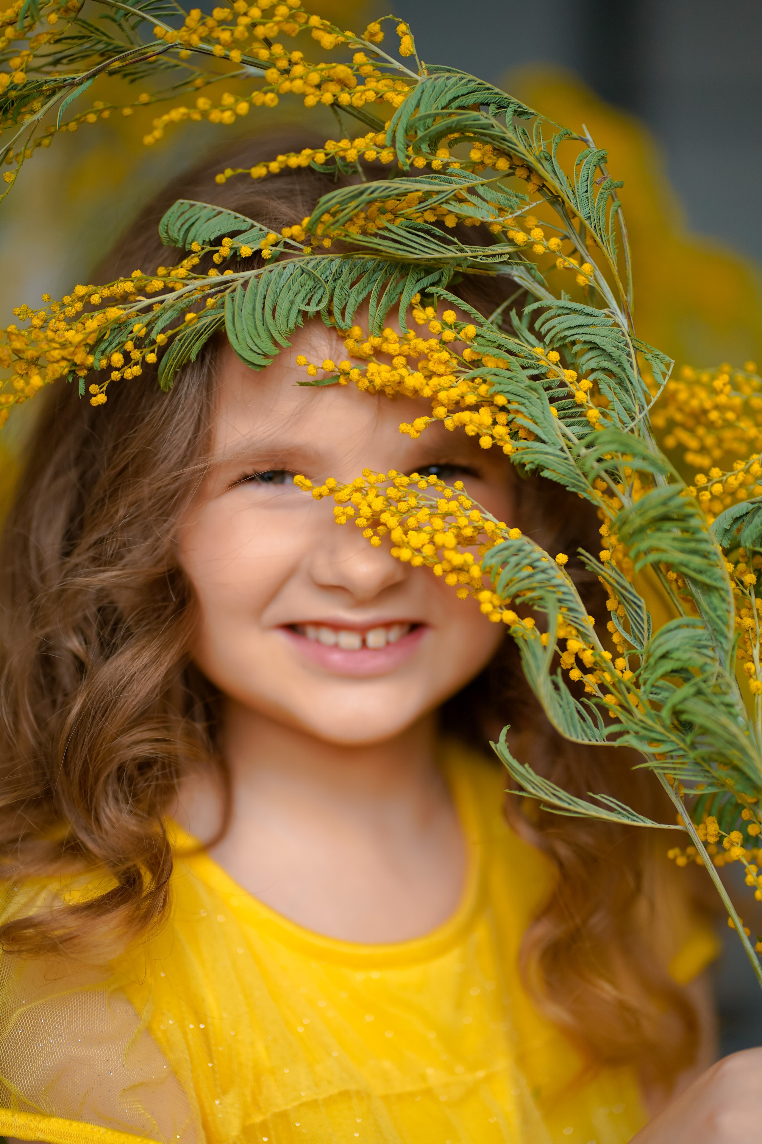 Мимоза. Фотограф Татьяна Митрофанова
