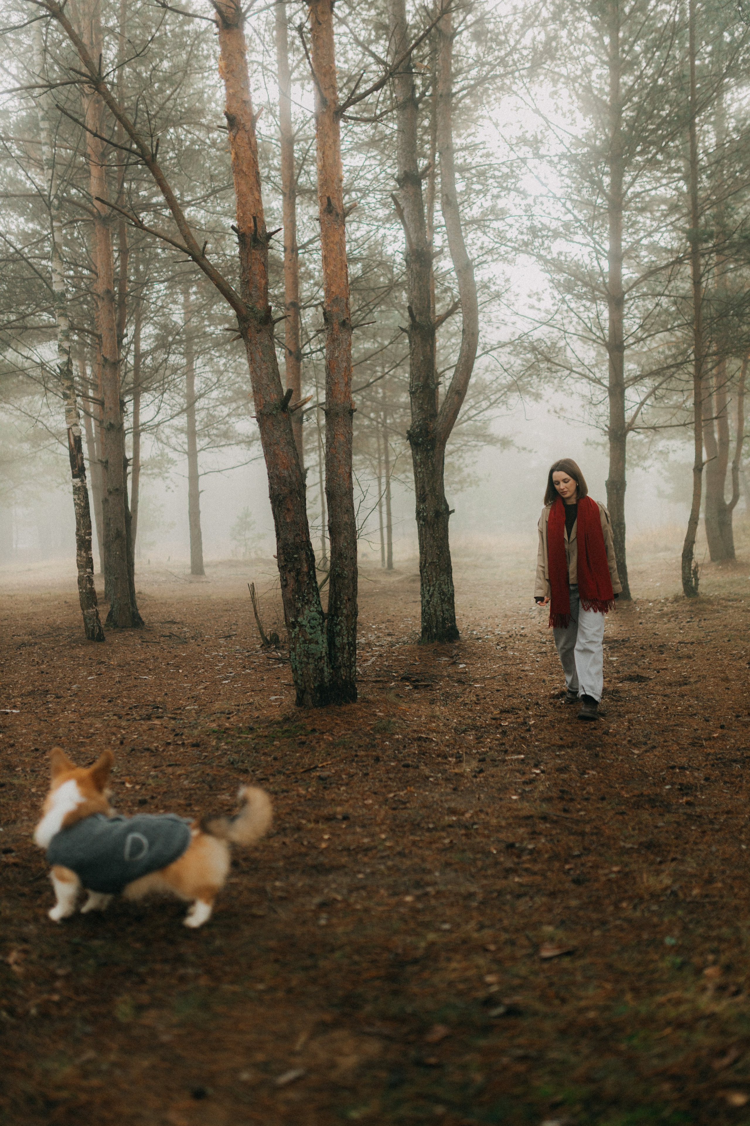 Алина. Фотограф НОГИНСК, Москва, Анастасия Белая