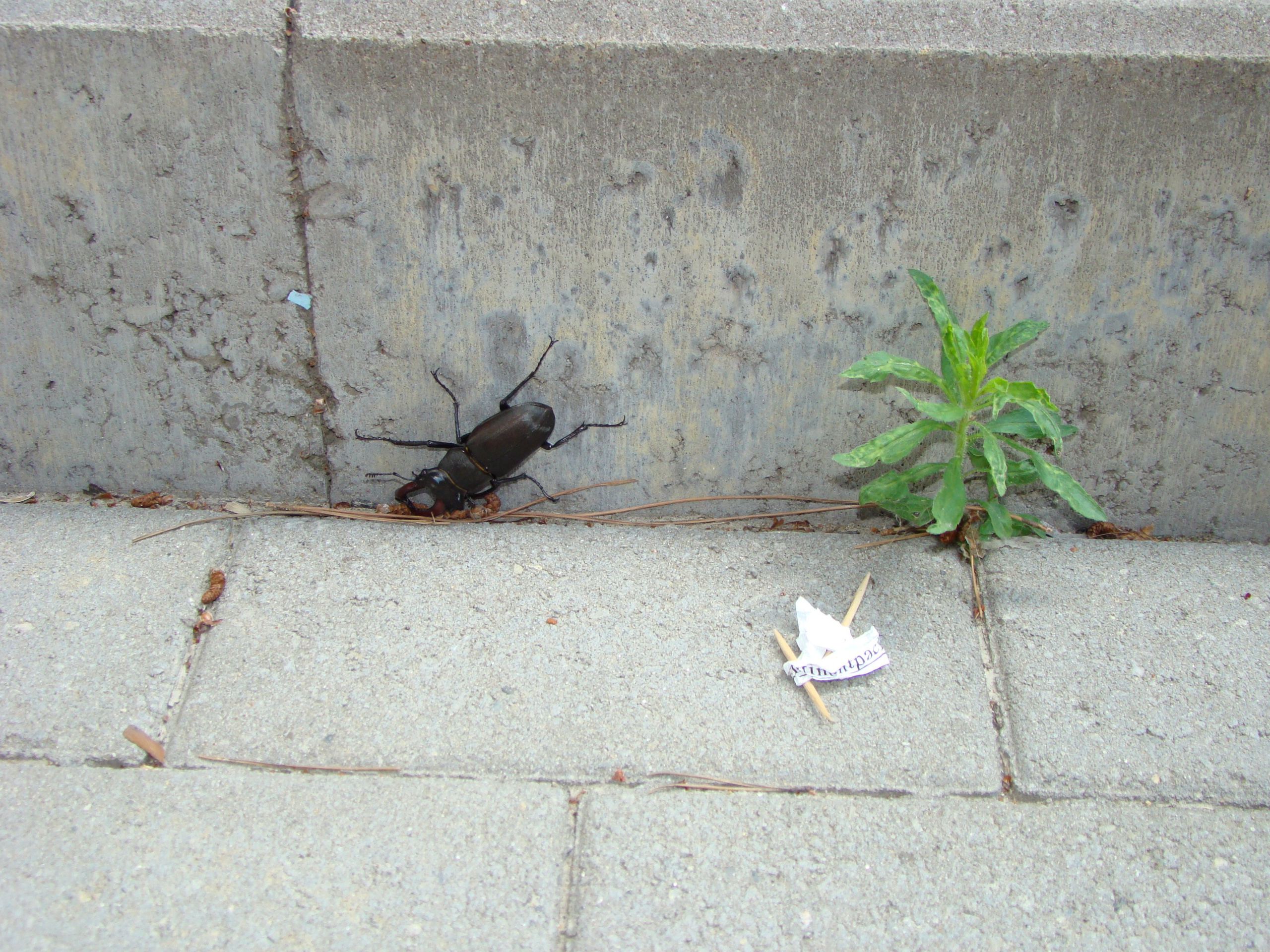 Кабардинка (фото Зевиных) 25.06-24.07.2008. Семейный, Свадебный фотограф СПБ Питер— Романова Екатерина