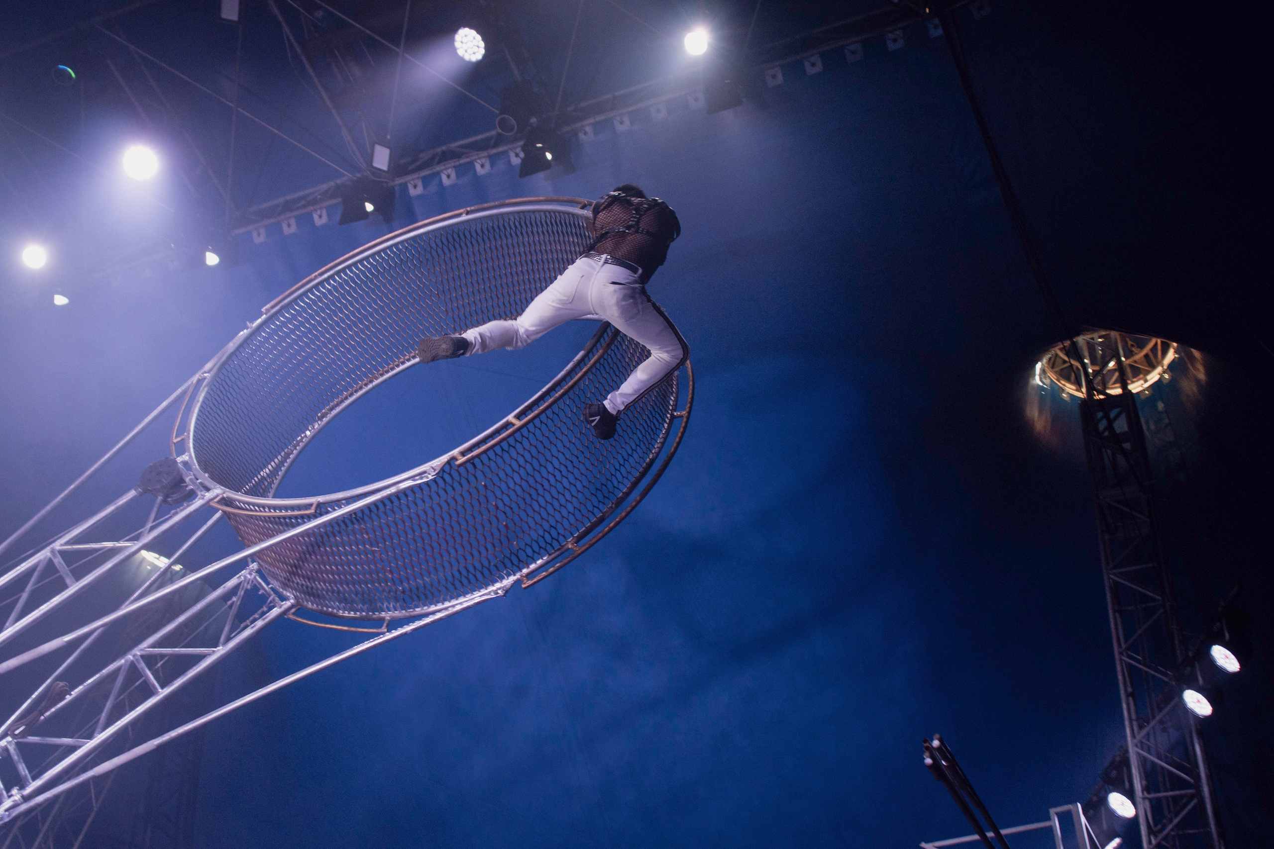 Цирк Демидовых. Репортажный, event, love-story, креативный фотограф мероприятий в Ярославле Мелюшин Александр