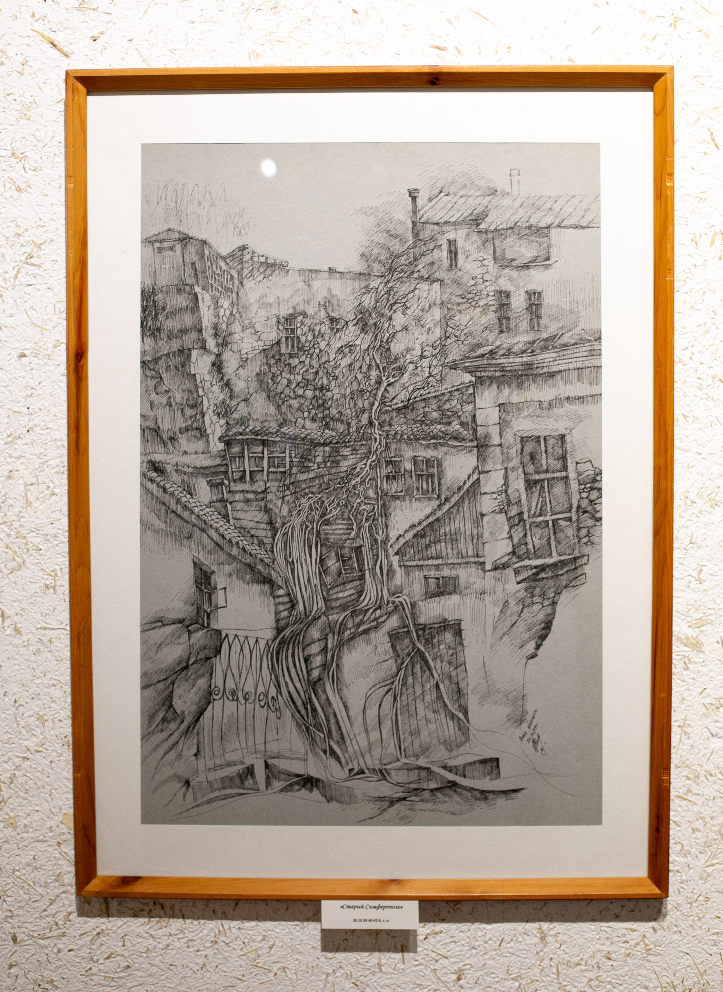 Ramiz Netovkin. Beye Shevkiyeva Photography