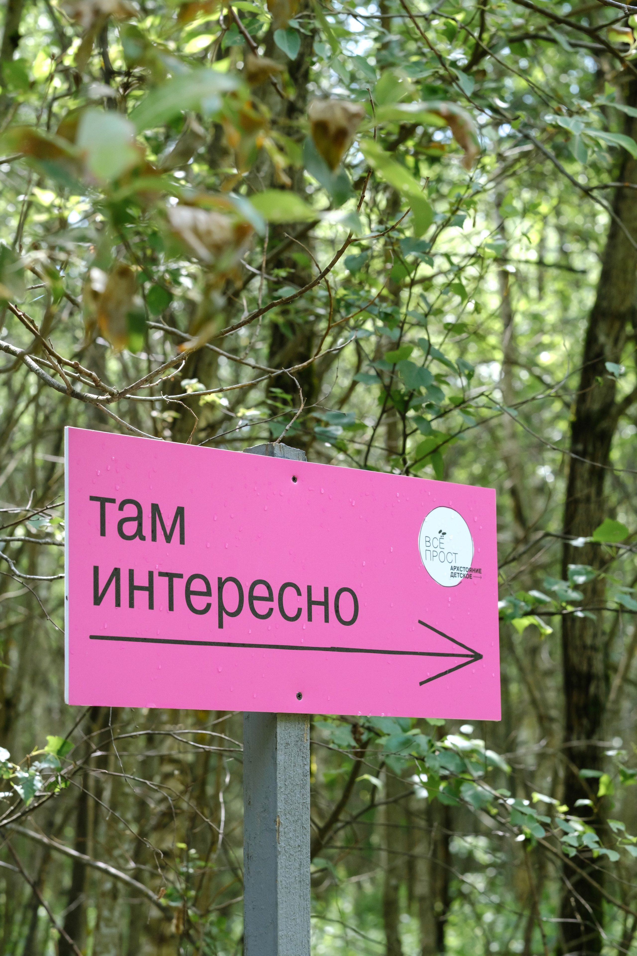 Архстояние детское 2023. Семейный и детский фотограф в Москве Светлана Потемкина