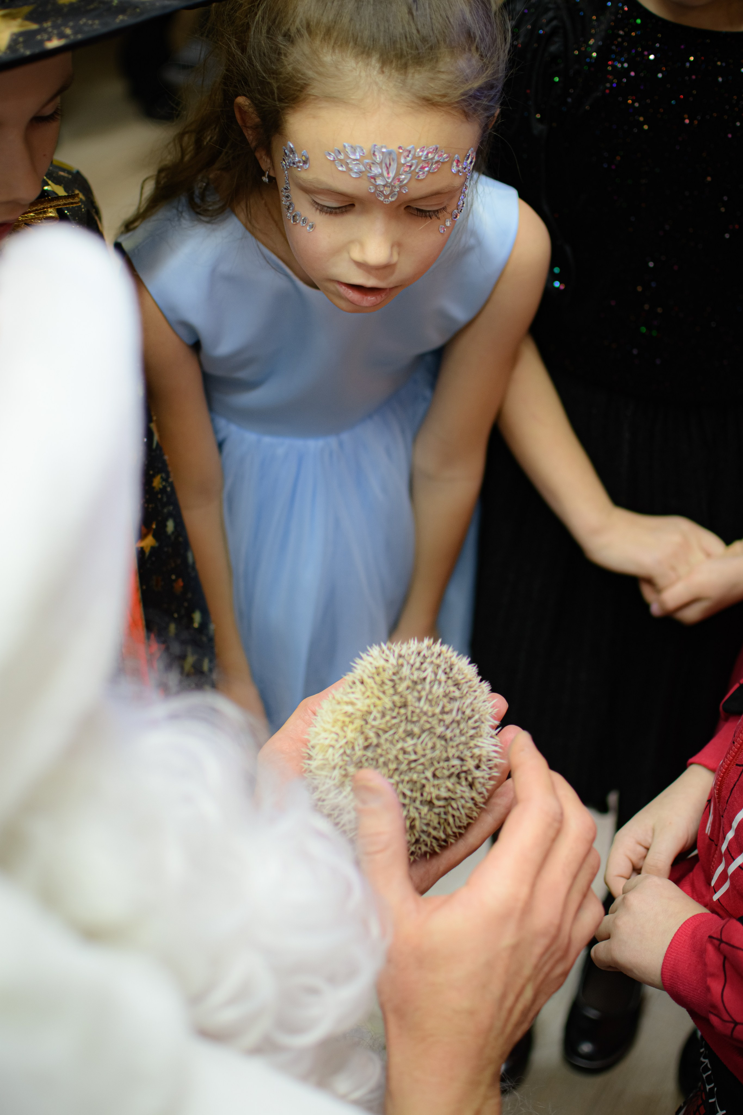 HAPPY NEW YEAR. Photokarish