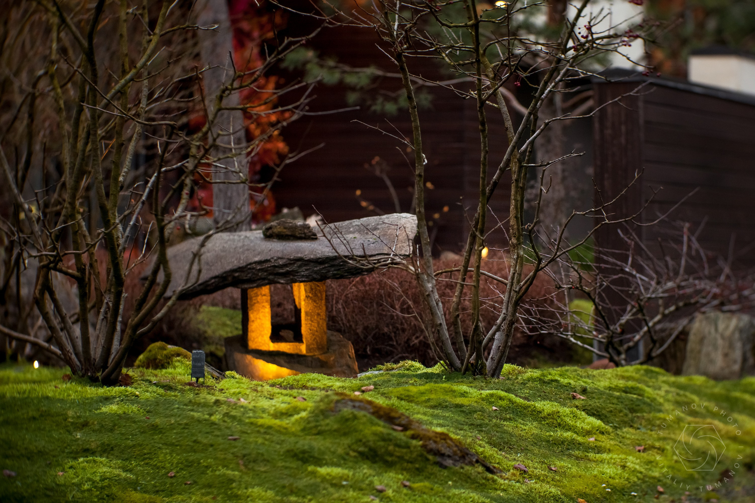 Вечерний сад «Сиреневый туман» (автор: Елена Асташкина). Виталий Туманов — Ландшафтный фотограф