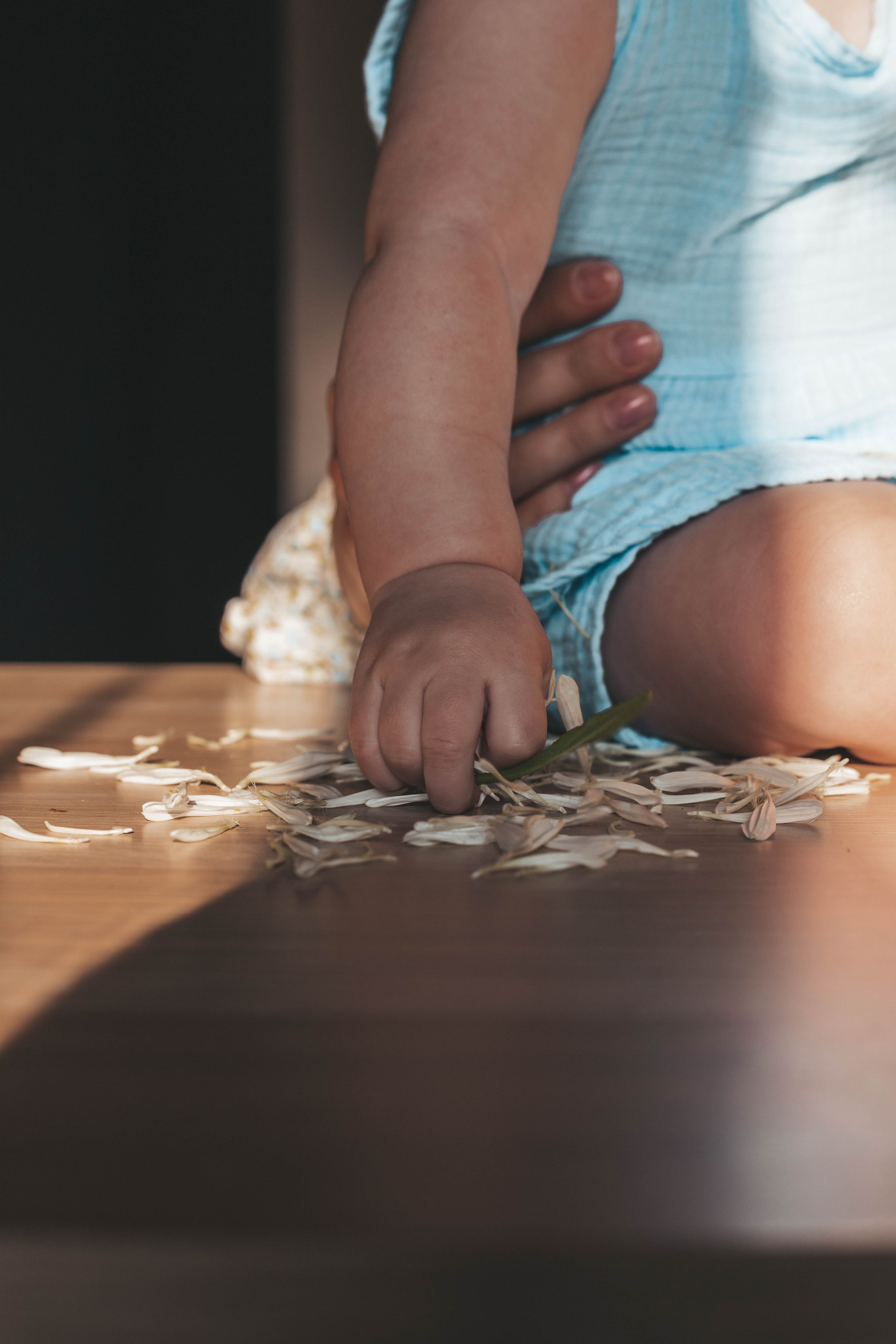 Оля и Поля, август 2024. Фотограф в Ярославле Ольга Пыненкова