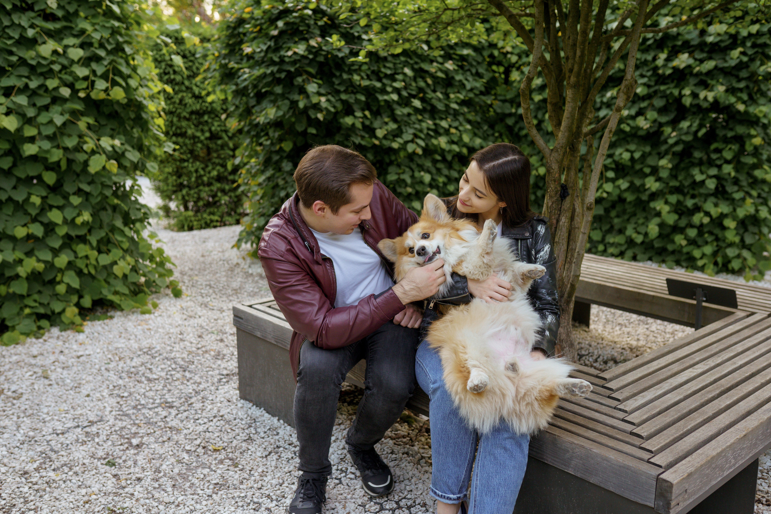 Катя, Арсений и Пух. Свадебный фотограф в Москве Анна Полушина