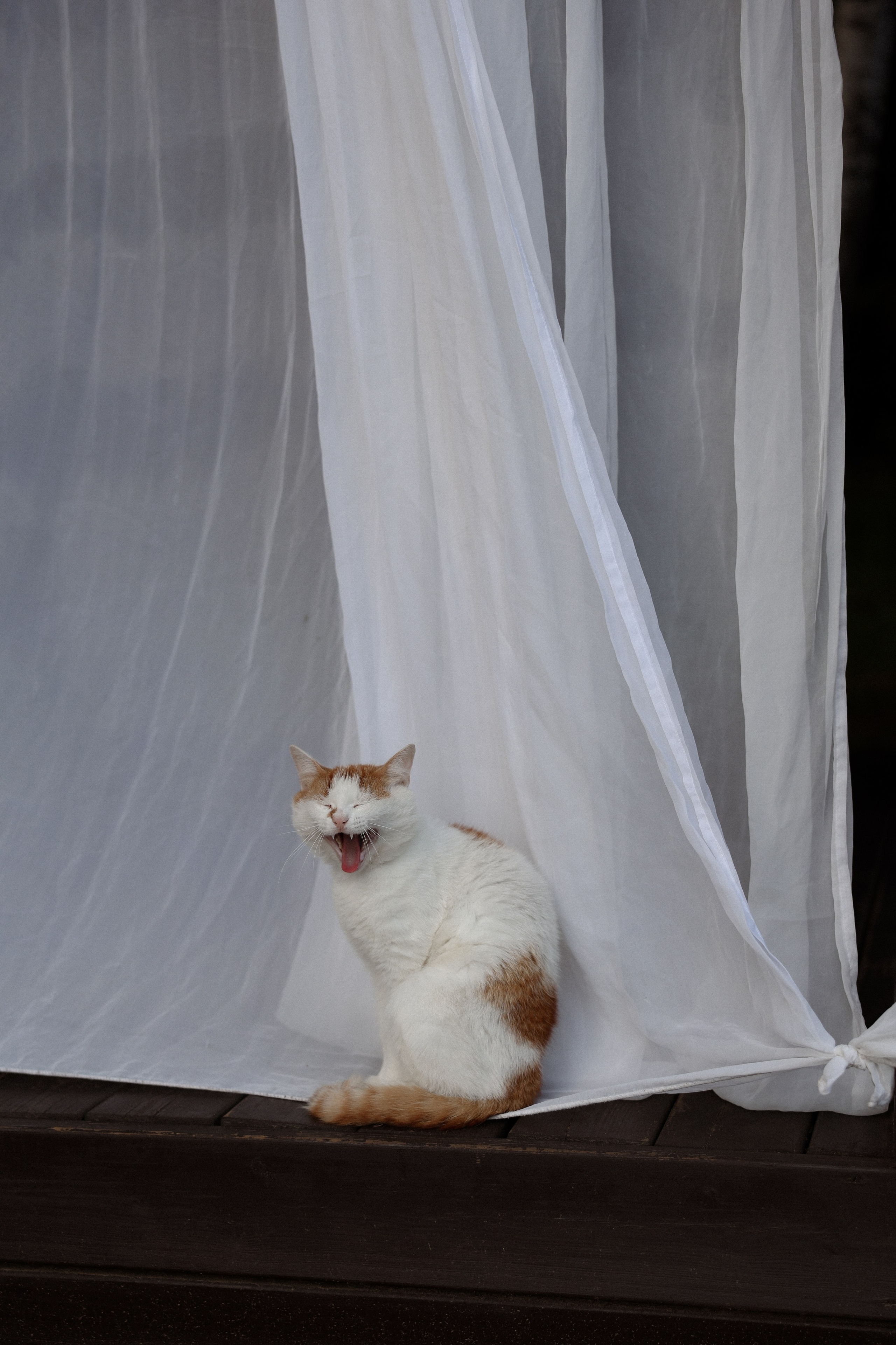 «Магия выставленного света» — Анна и Милан. Свадебный и семейный фотограф в Москве Ломова Ирина