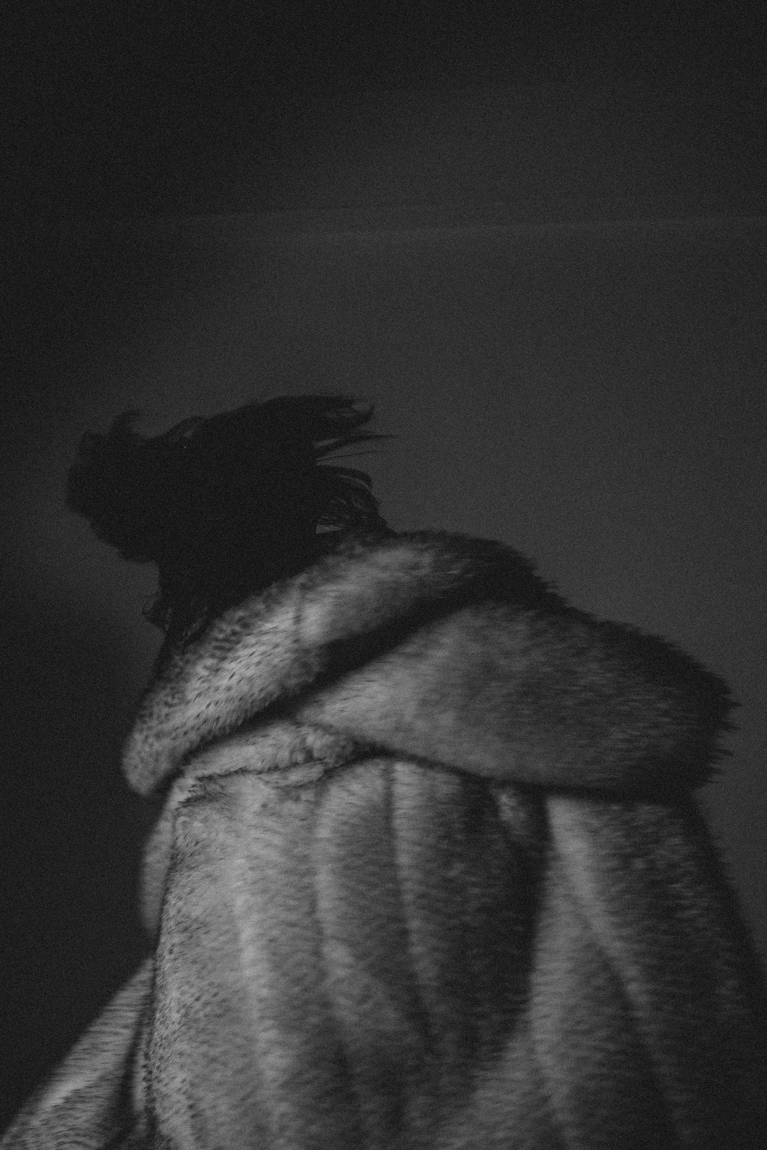 История ко дню рождения. Профессиональный фотограф, Санкт-Петербург — Виктория Богомолова