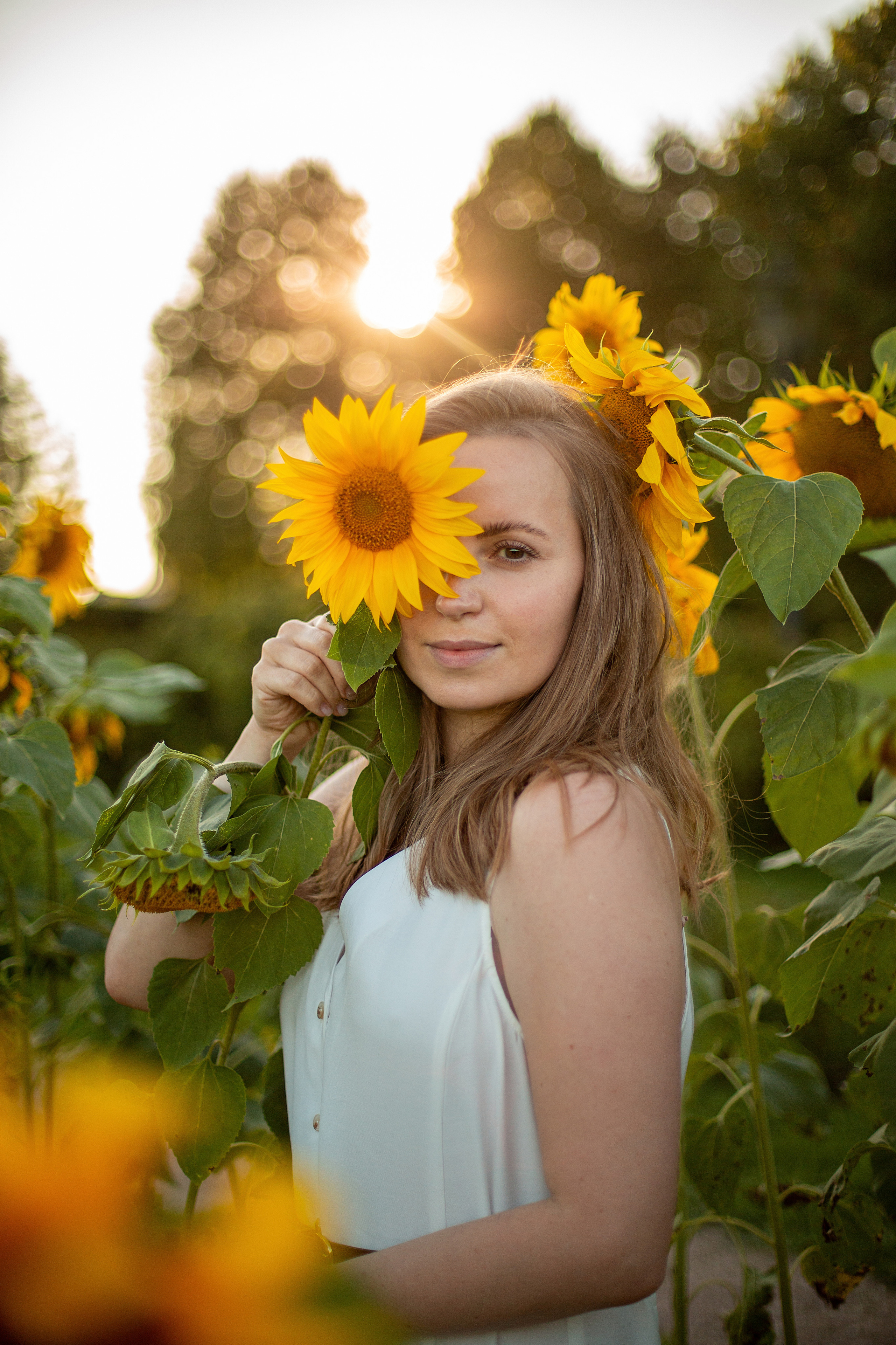 Подсолнухи. Свадебный и семейный фотограф