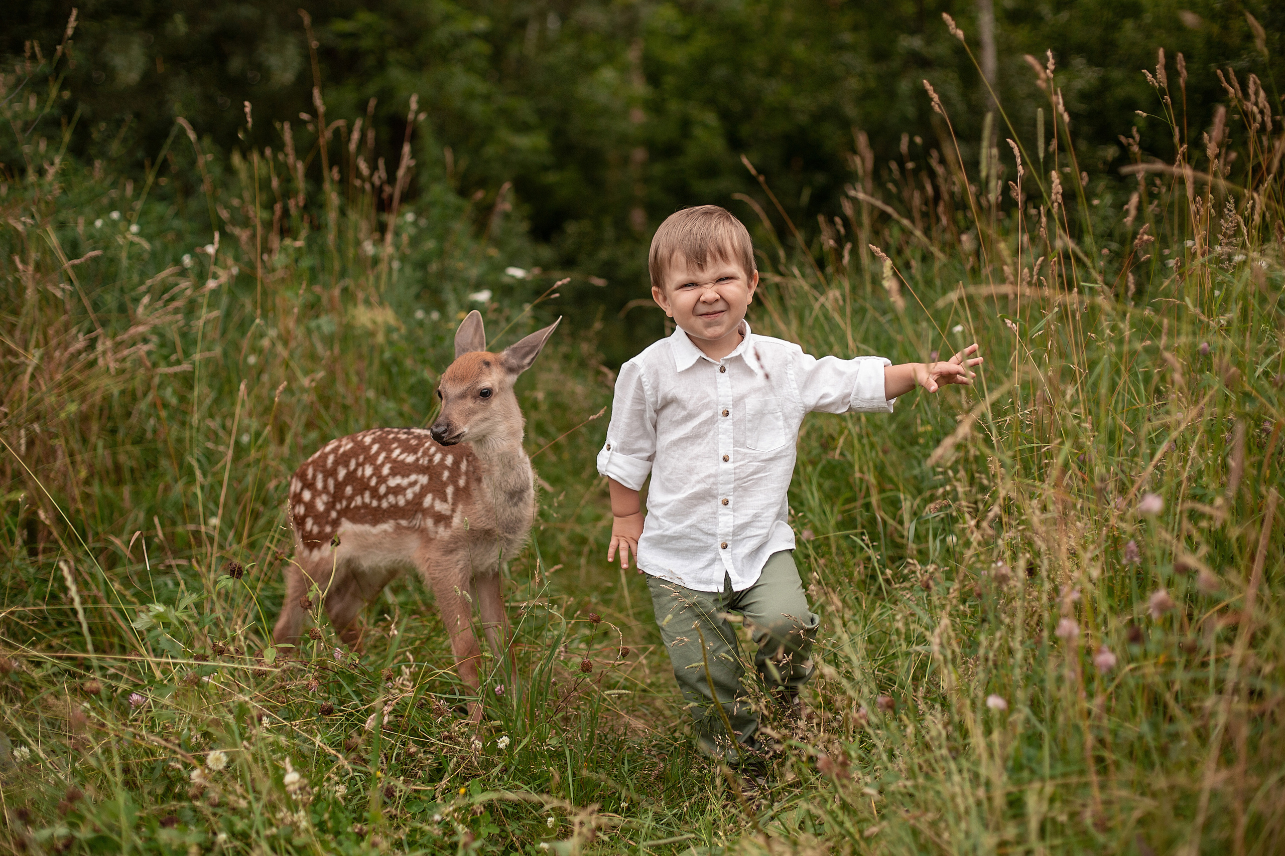 Олененок. Свадебный и семейный фотограф