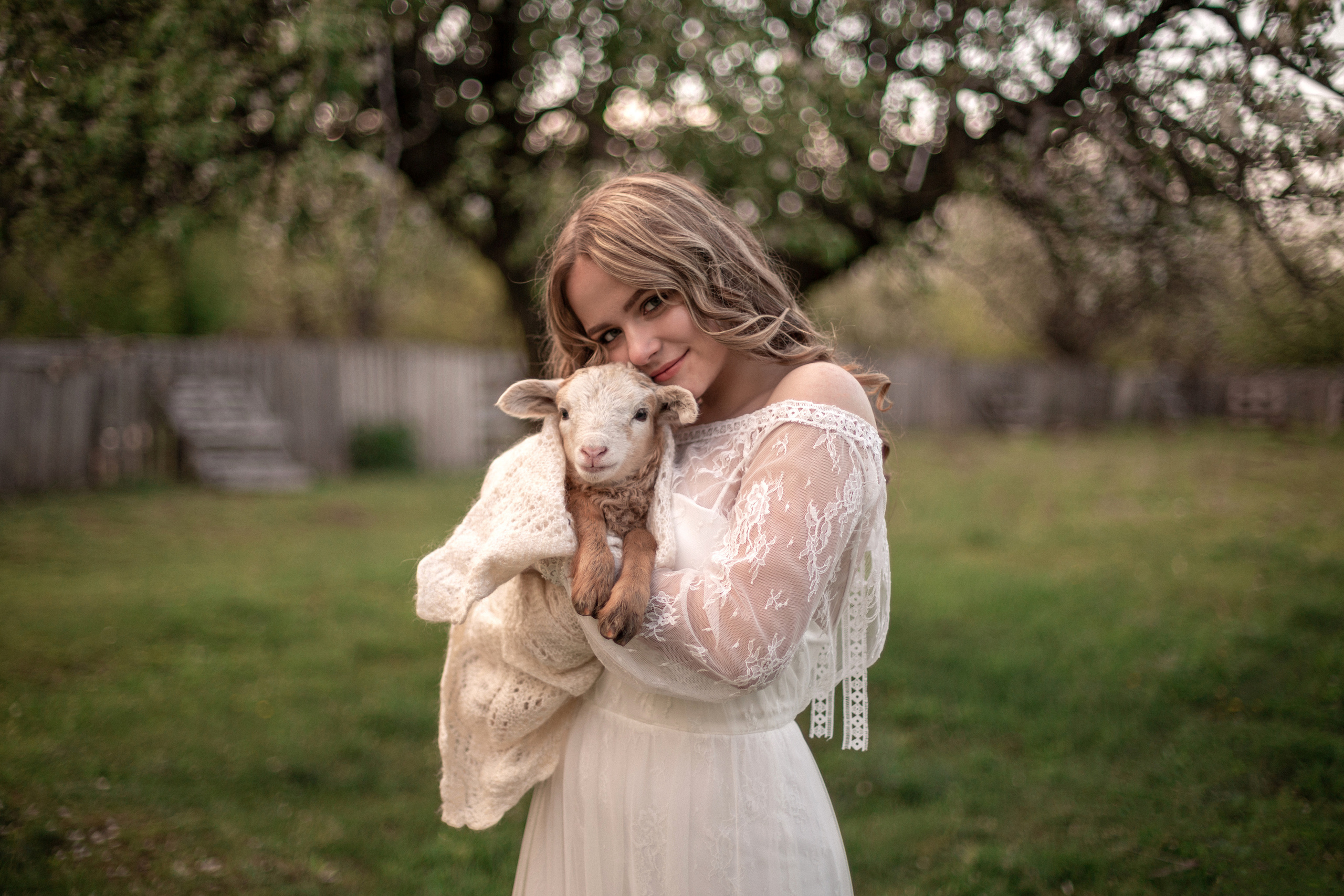 Ягненок. Свадебный и семейный фотограф