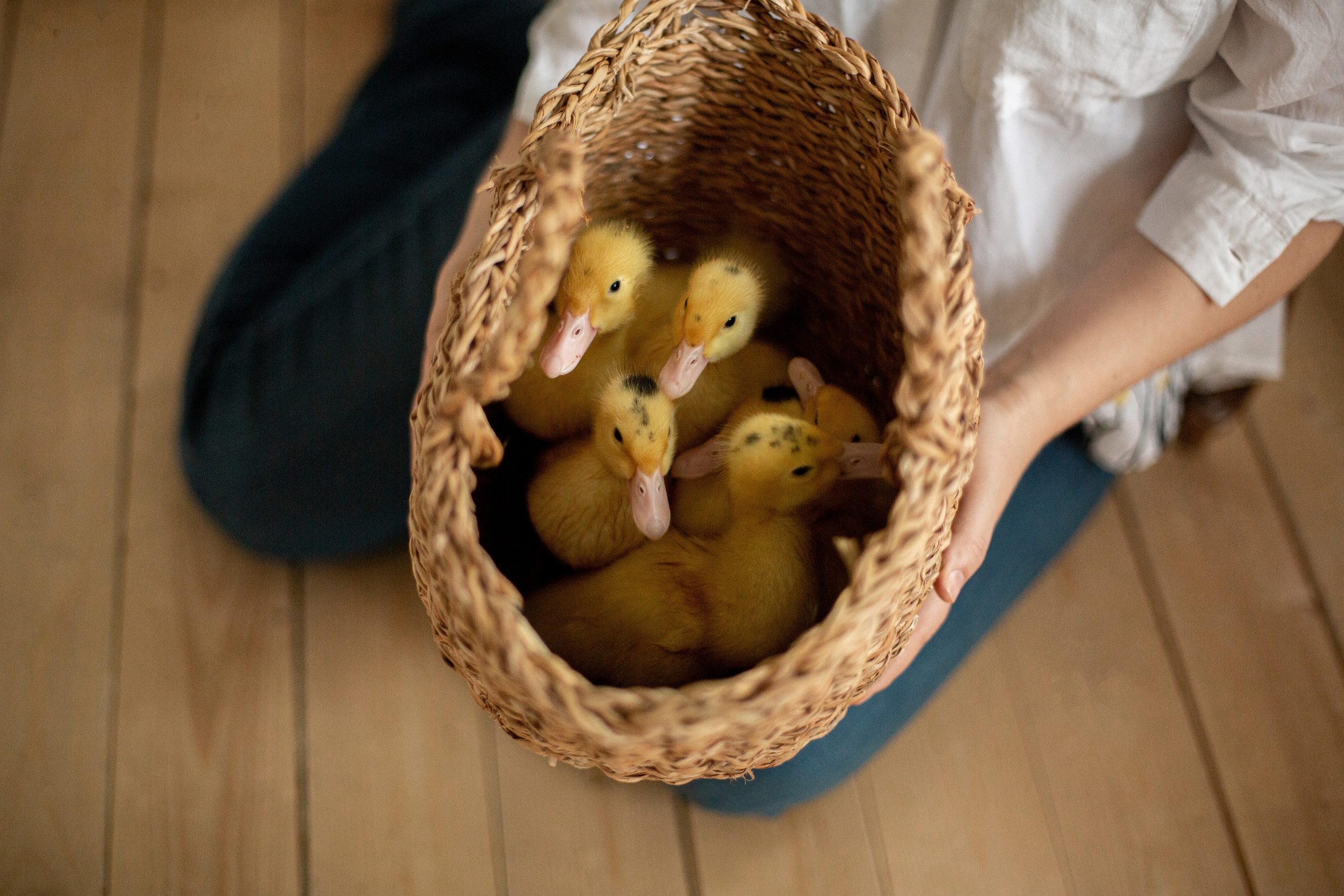 Блог о животных. Свадебный и семейный фотограф