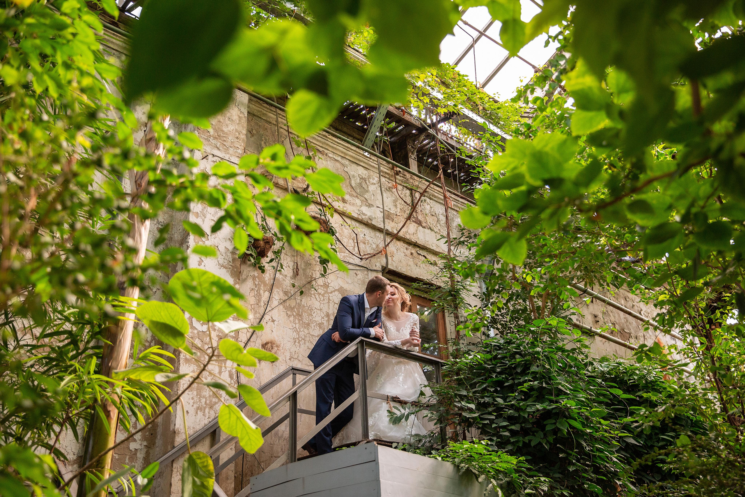 Илья и Настя. Свадебный и семейный фотограф