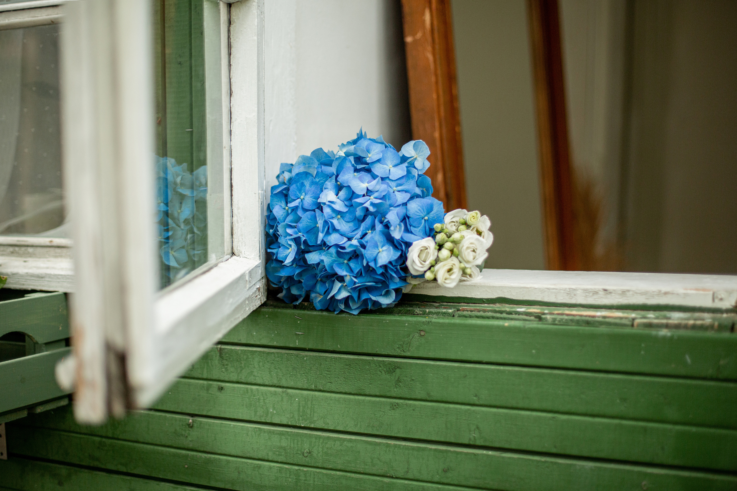 Блог о животных. Свадебный и семейный фотограф