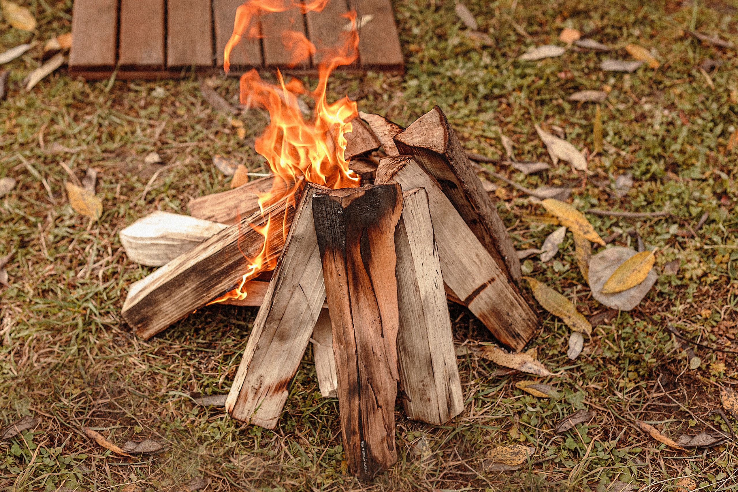 Дом на колесах. Свадебный и семейный фотограф