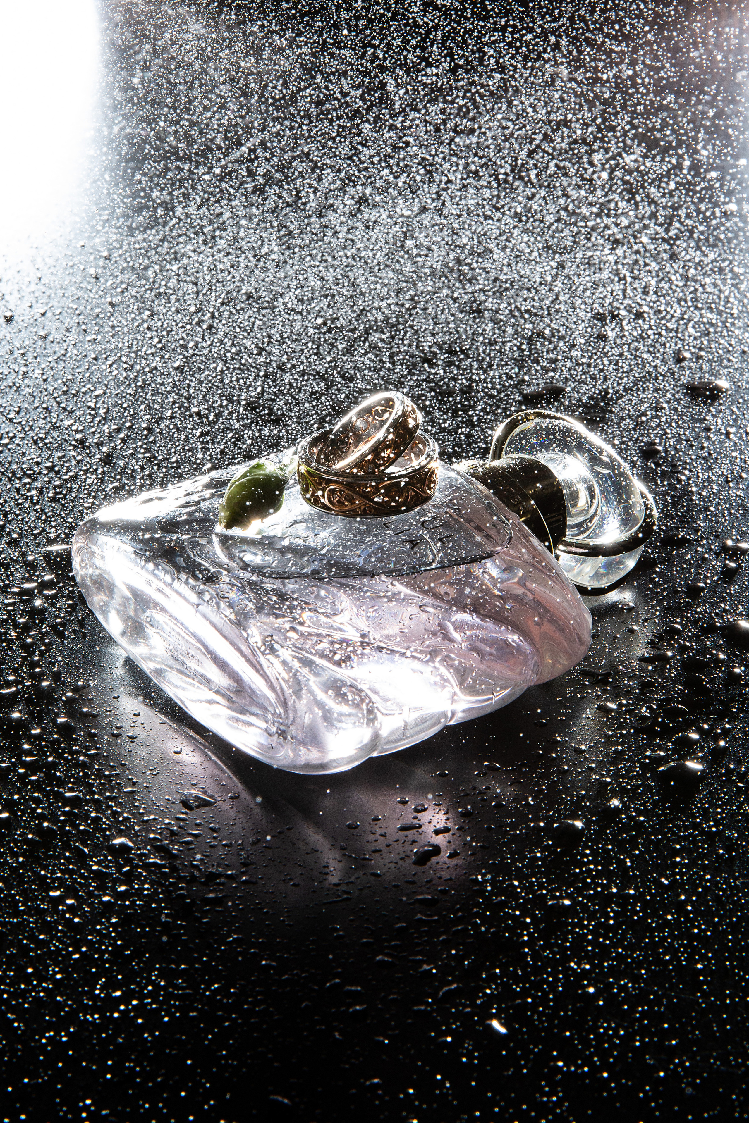 Олег и Оксана. Свадебный и семейный фотограф