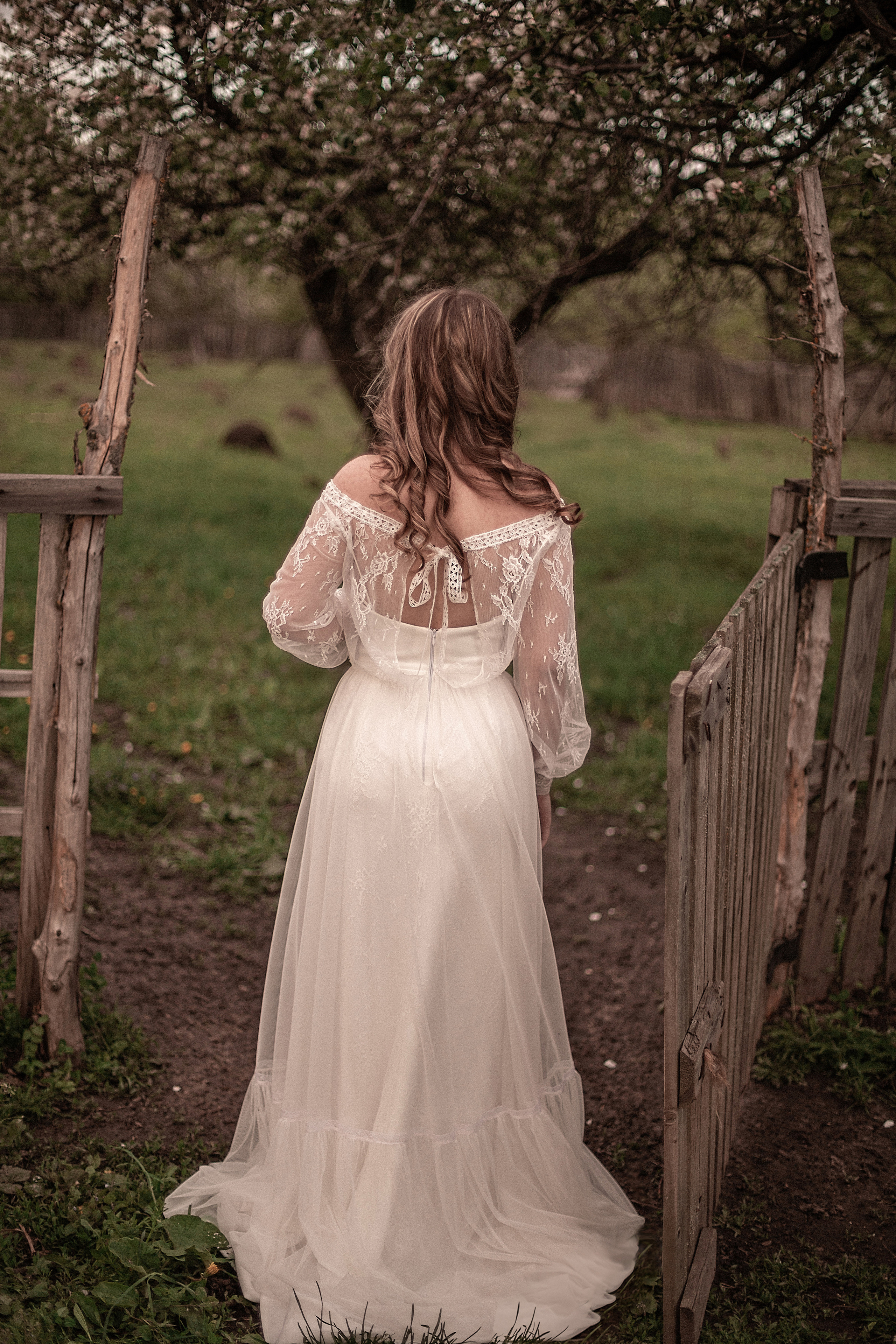 Ягненок. Свадебный и семейный фотограф