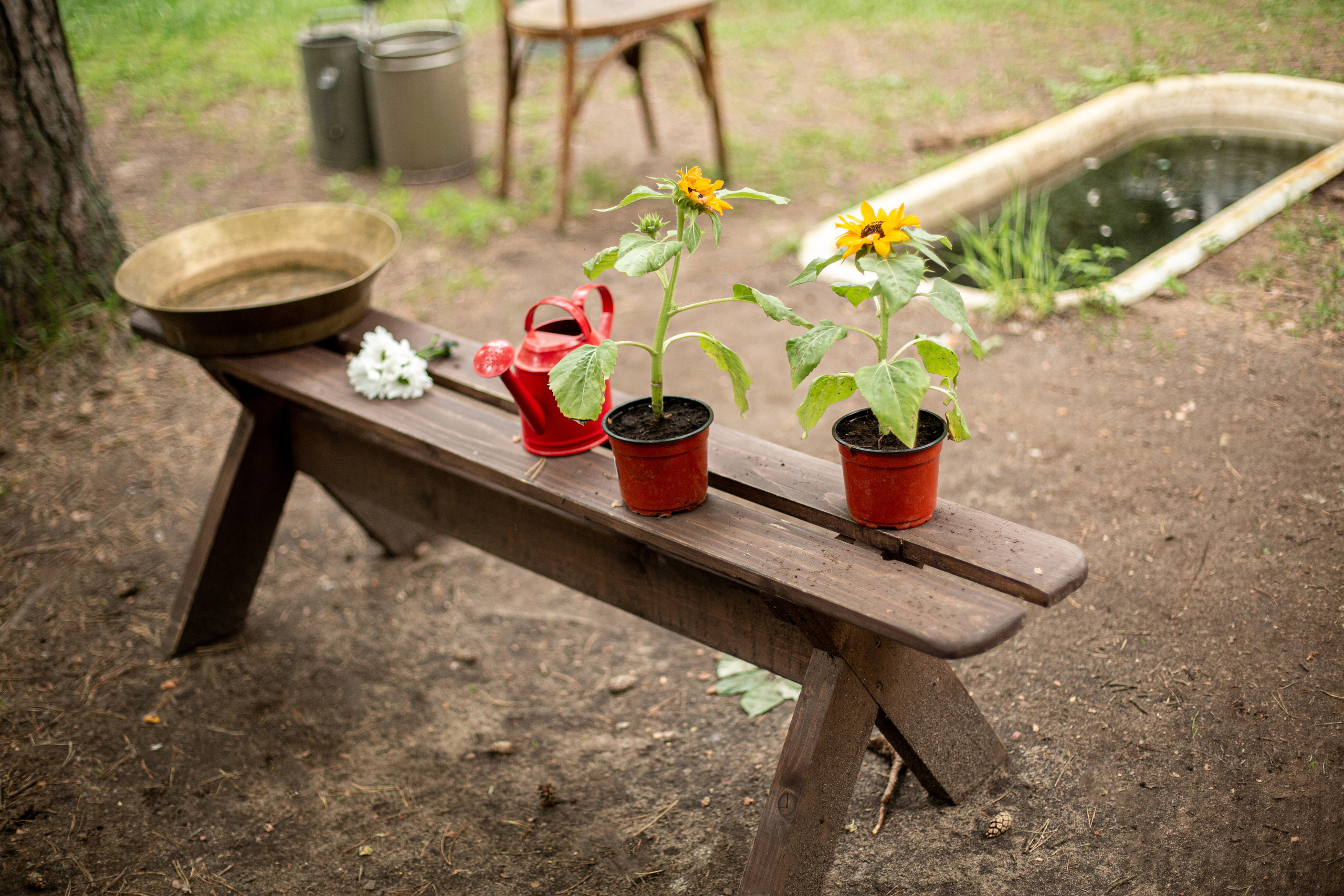 Блог о животных. Свадебный и семейный фотограф