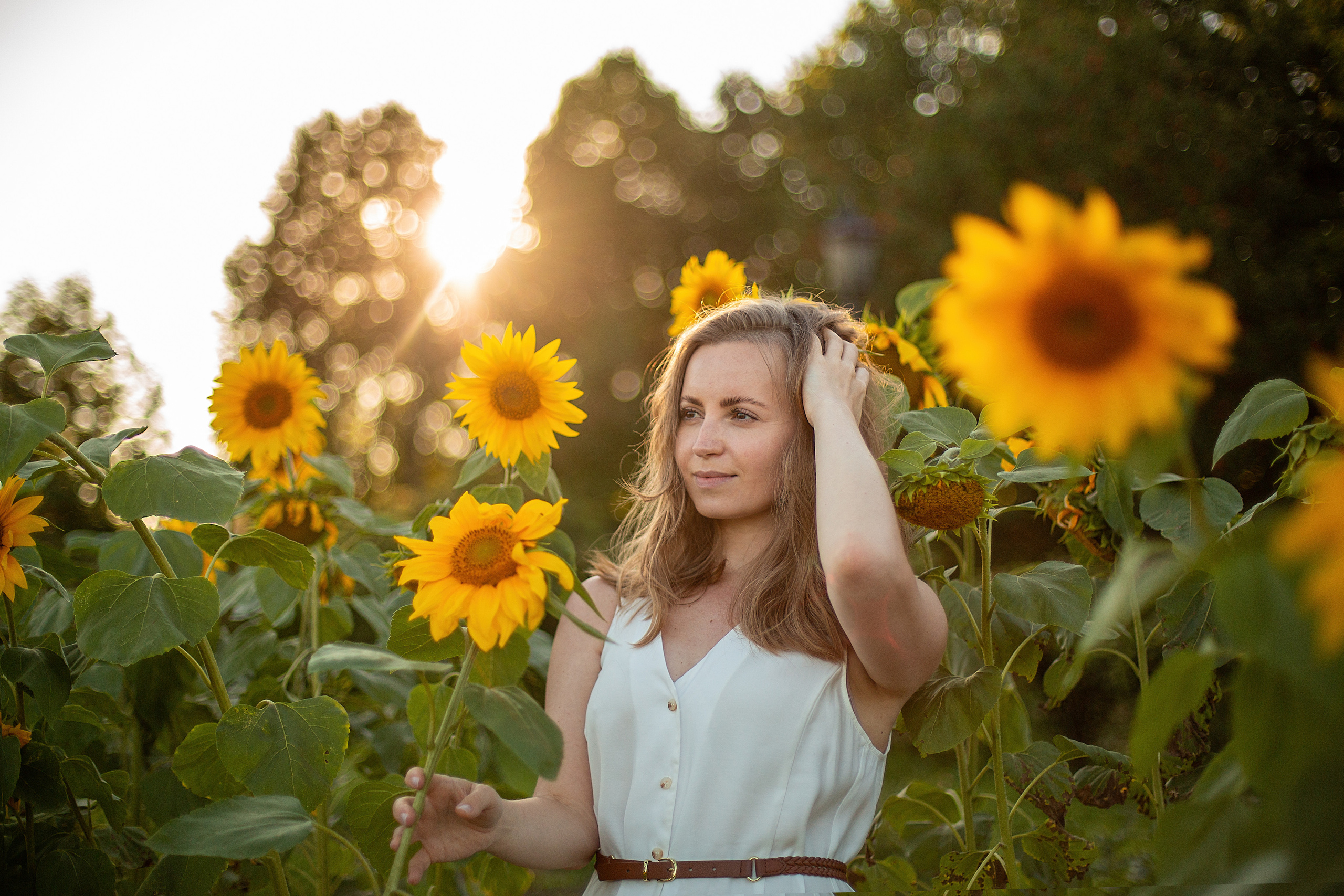 Подсолнухи. Свадебный и семейный фотограф
